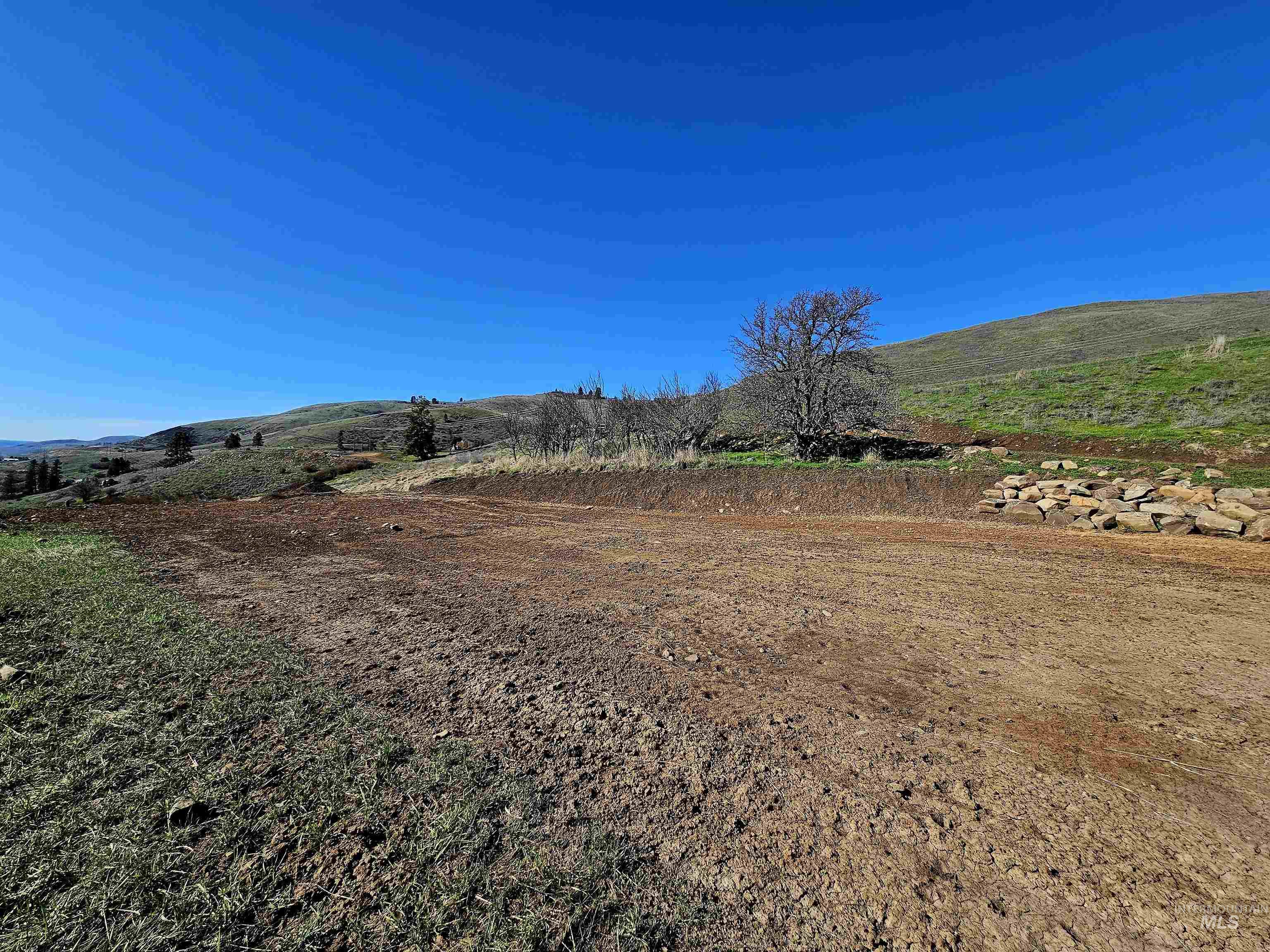 Lot 4 Quiet Hills Lane, Lenore, Idaho 83541, Land For Sale, Price $340,000, 98947845