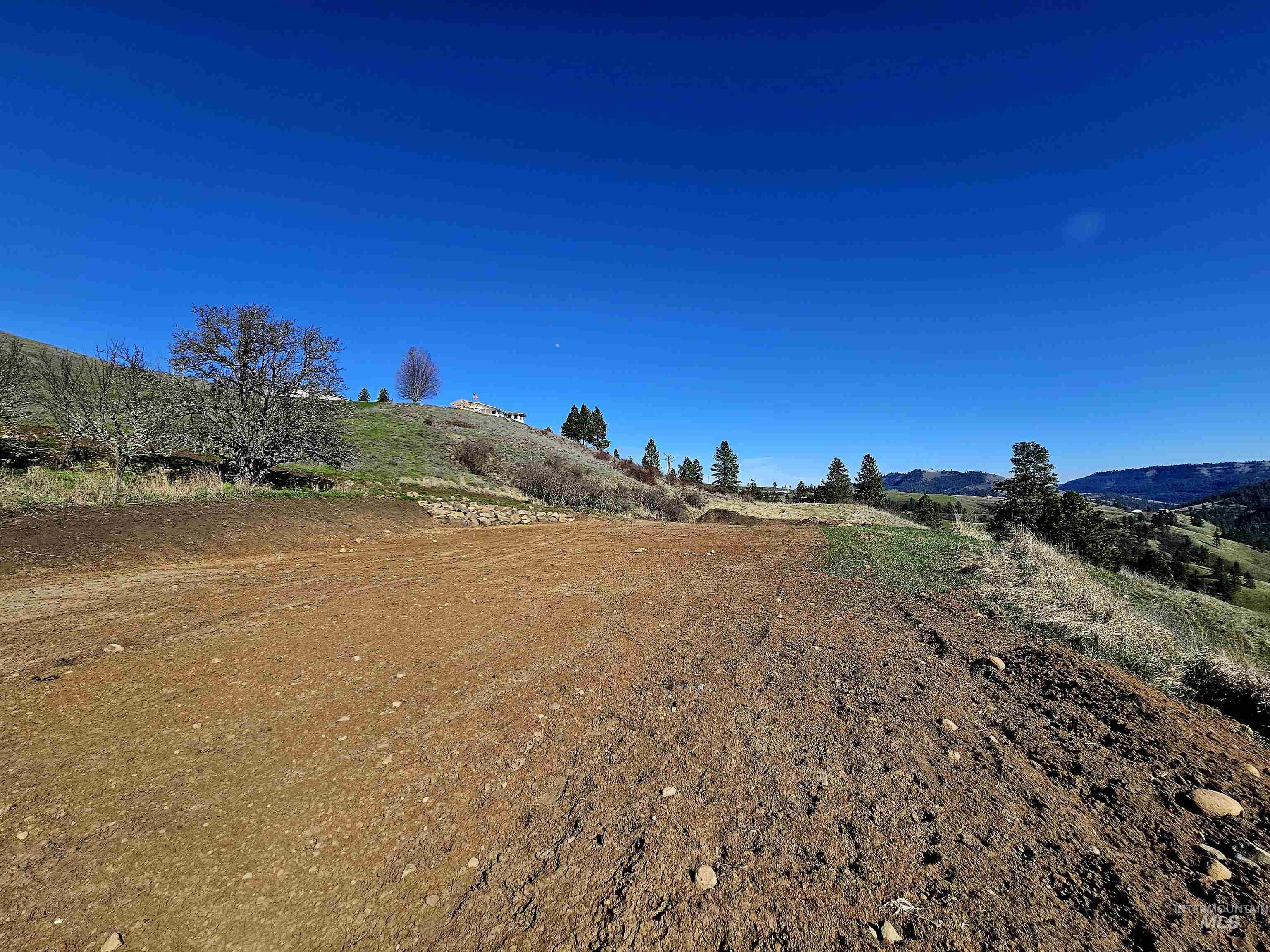 Lot 4 Quiet Hills Lane, Lenore, Idaho 83541, Land For Sale, Price $340,000, 98947845