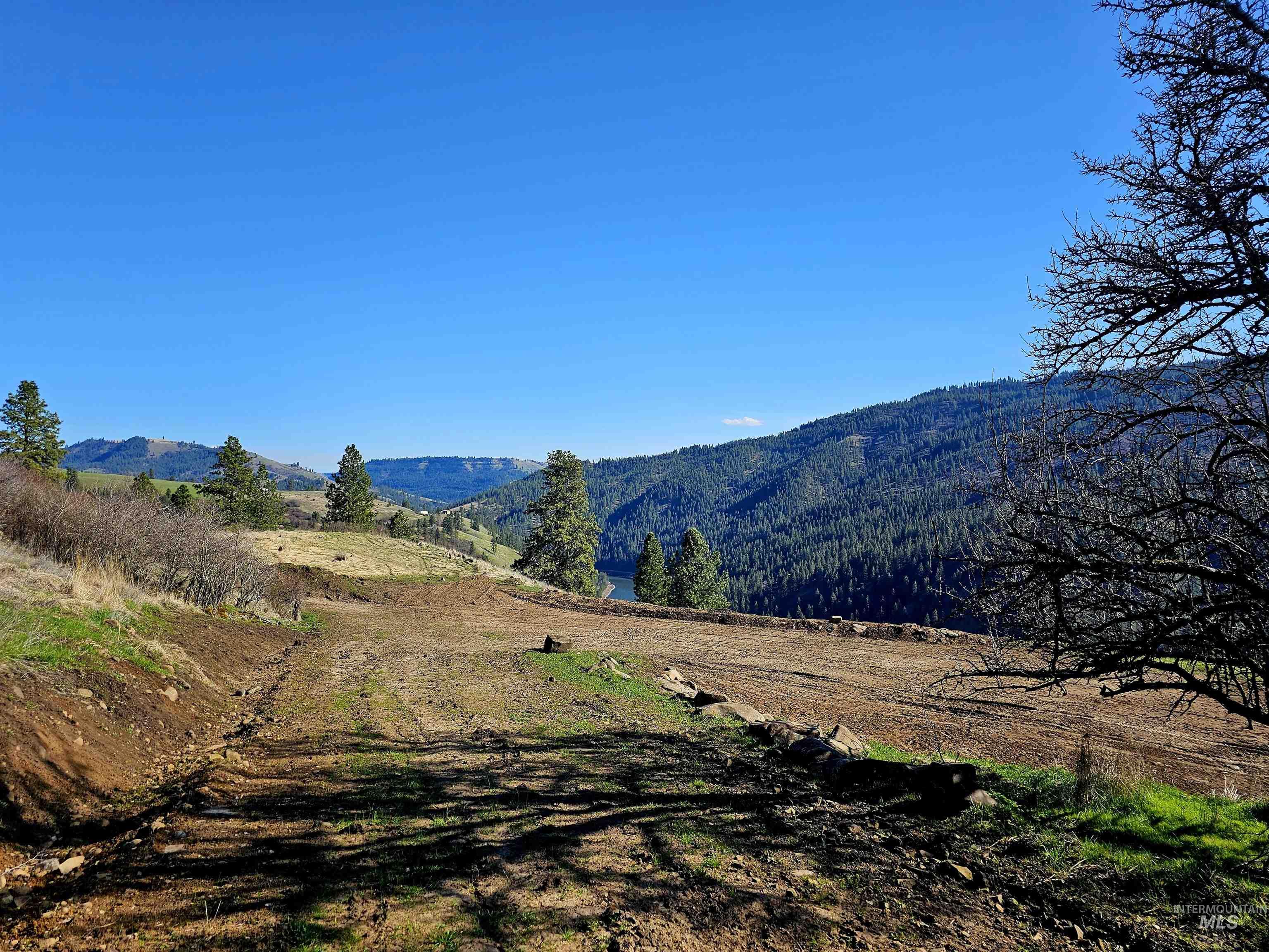 Lot 4 Quiet Hills Lane, Lenore, Idaho 83541, Land For Sale, Price $340,000, 98947845