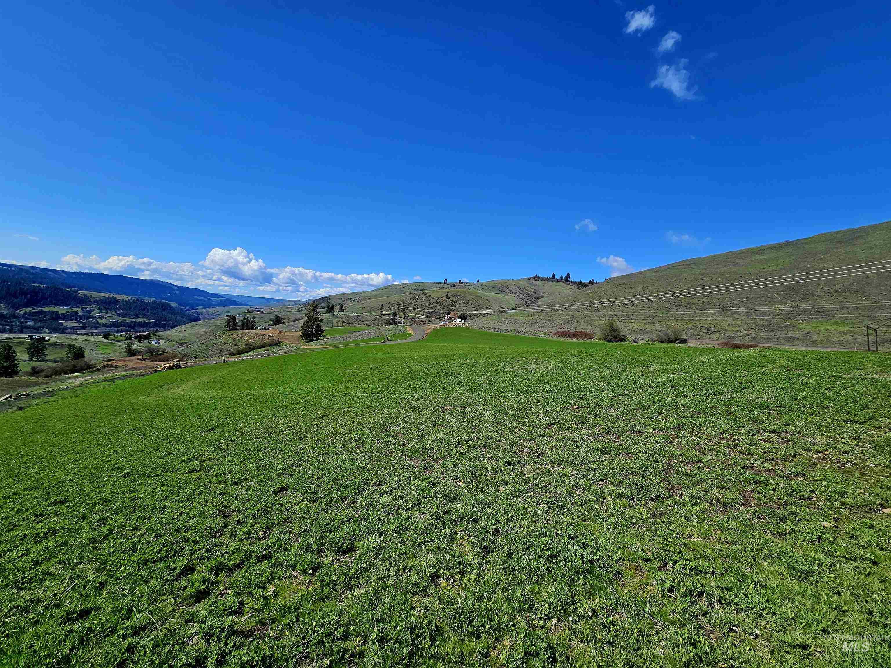 Lot 4 Quiet Hills Lane, Lenore, Idaho 83541, Land For Sale, Price $340,000, 98947845