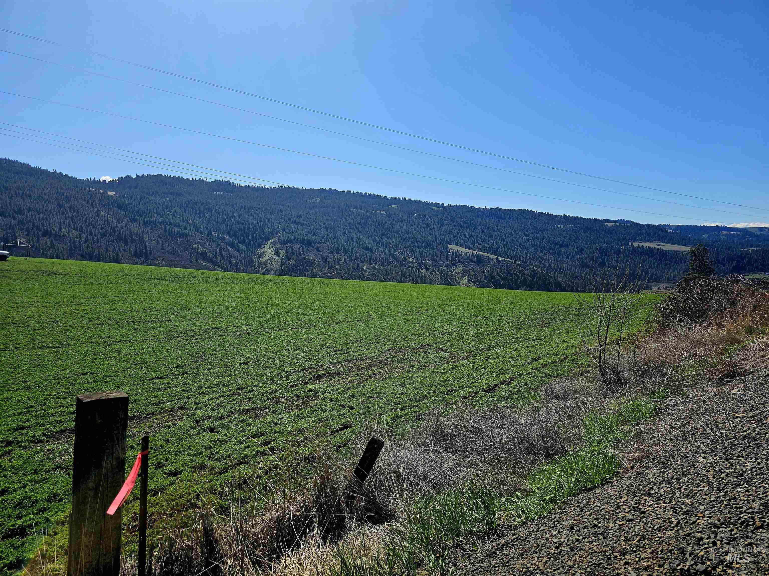 Lot 4 Quiet Hills Lane, Lenore, Idaho 83541, Land For Sale, Price $340,000, 98947845
