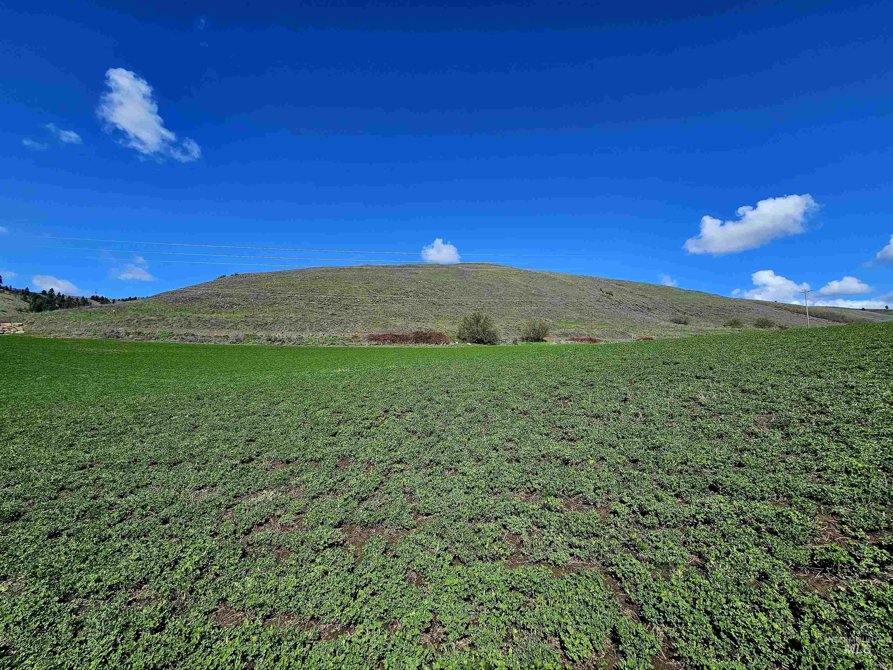 Lot 4 Quiet Hills Lane, Lenore, Idaho 83541, Land For Sale, Price $340,000, 98947845