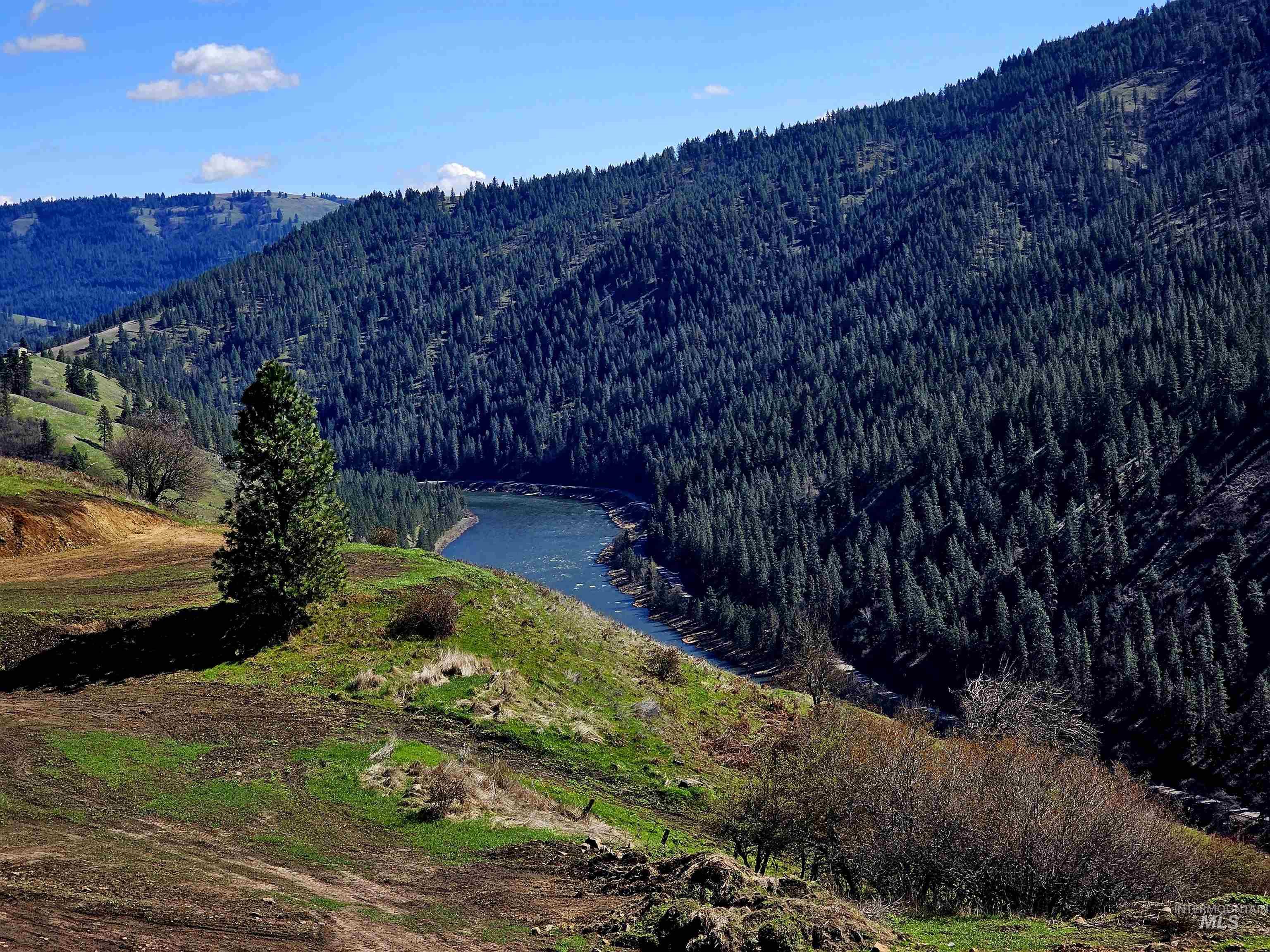 Lot 5 Quiet Hills Lane, Lenore, Idaho 83541, Land For Sale, Price $310,000, 98947846