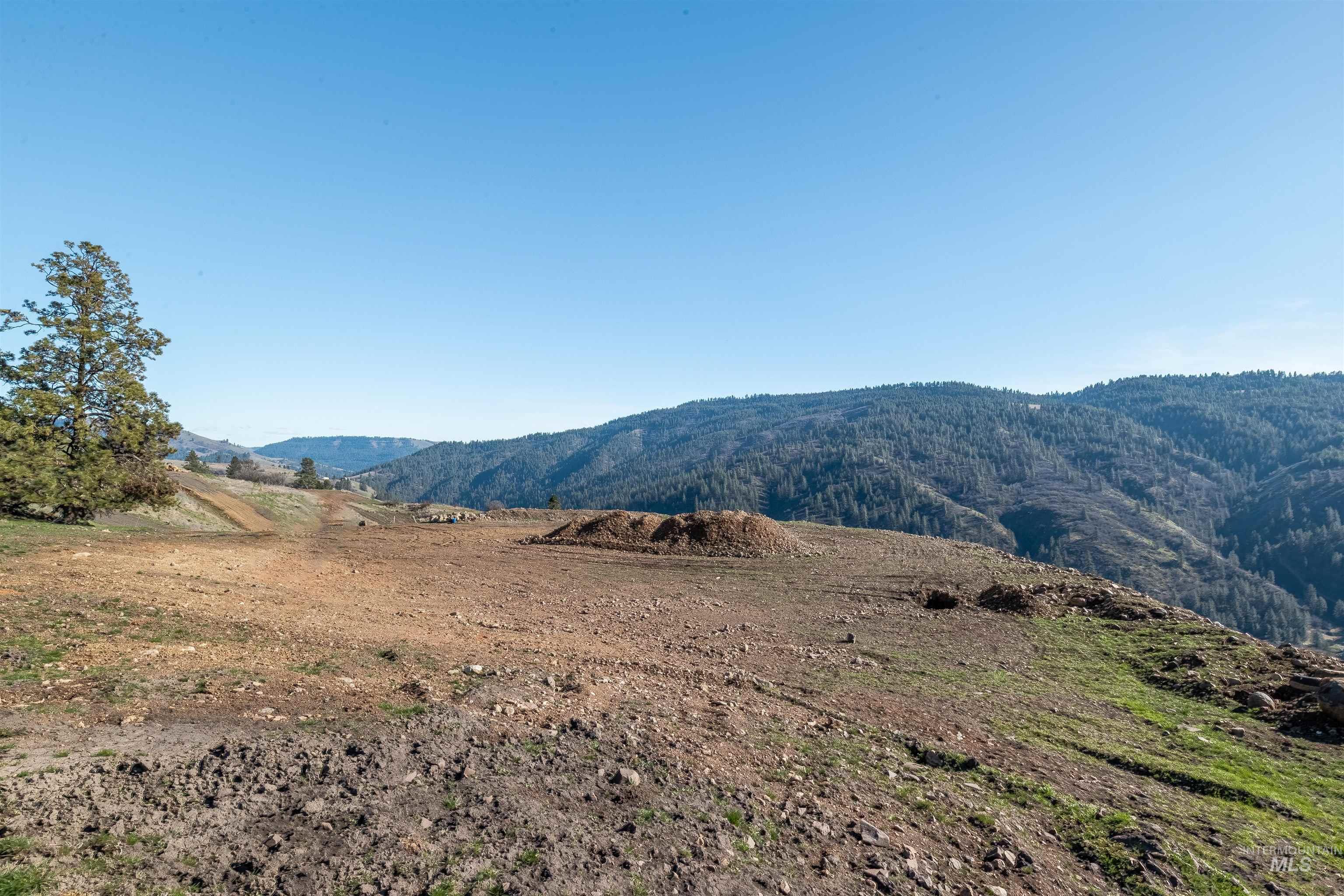 Lot 5 Quiet Hills Lane, Lenore, Idaho 83541, Land For Sale, Price $310,000, 98947846