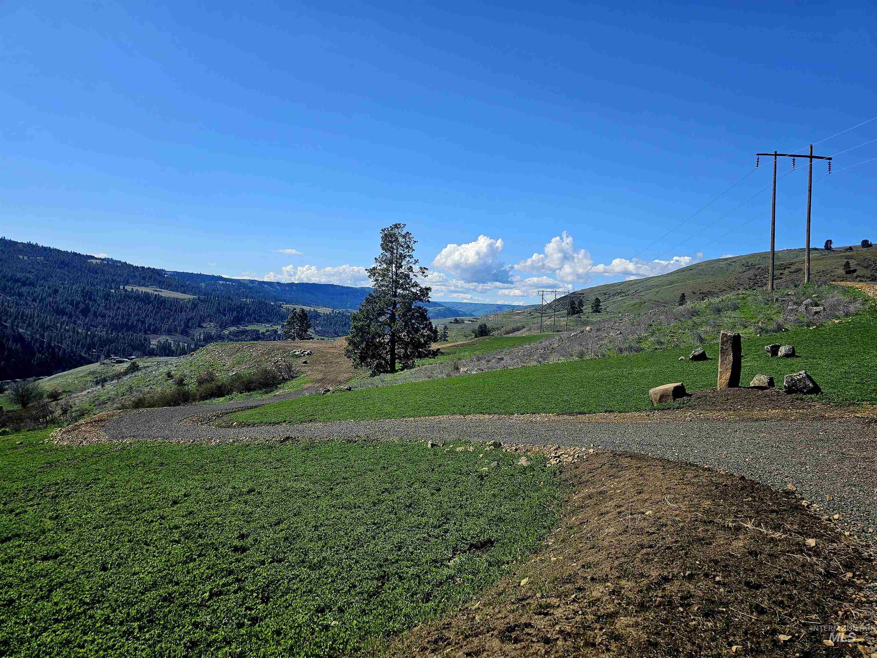 Lot 5 Quiet Hills Lane, Lenore, Idaho 83541, Land For Sale, Price $310,000, 98947846