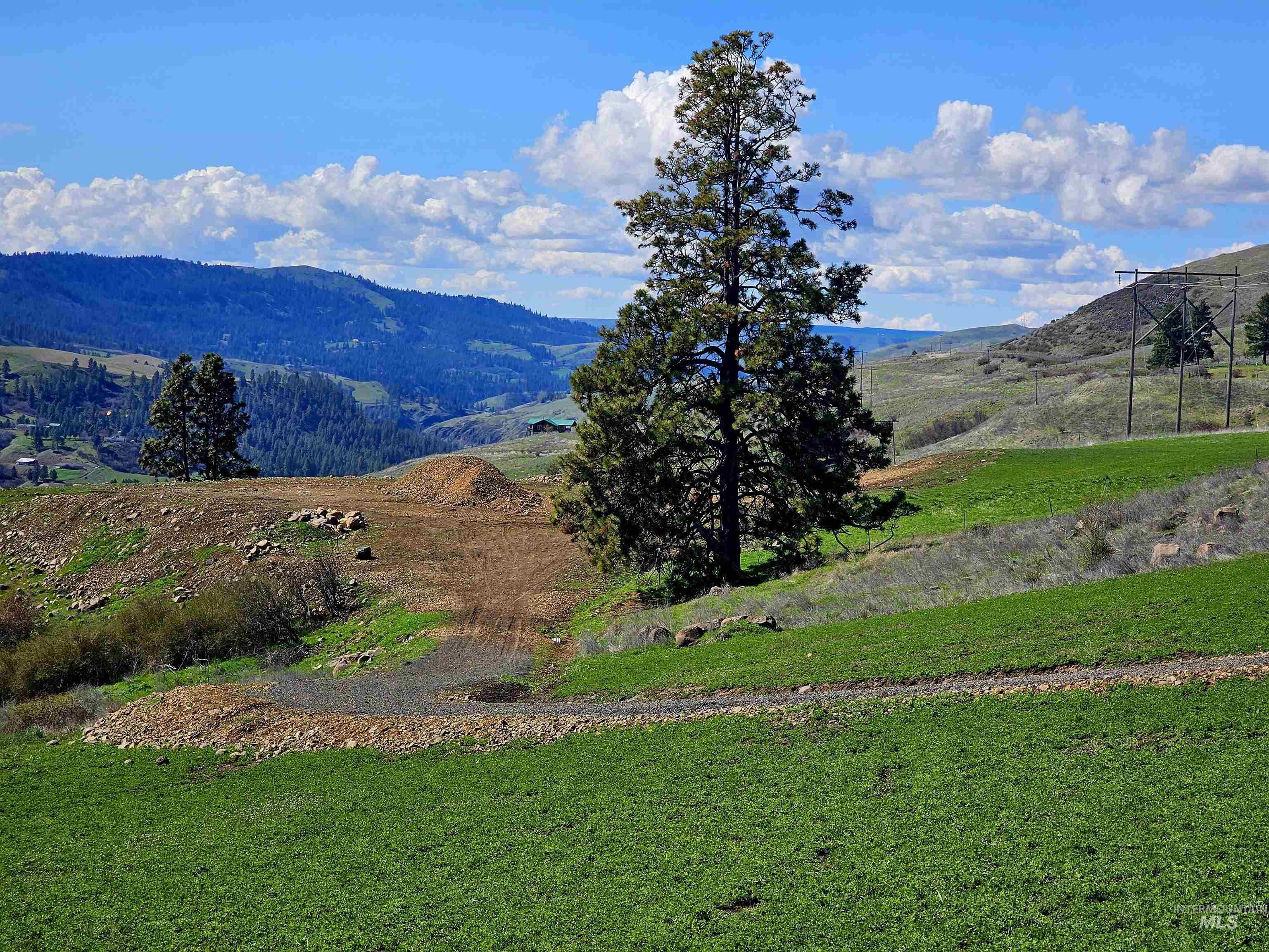 Lot 5 Quiet Hills Lane, Lenore, Idaho 83541, Land For Sale, Price $310,000, 98947846