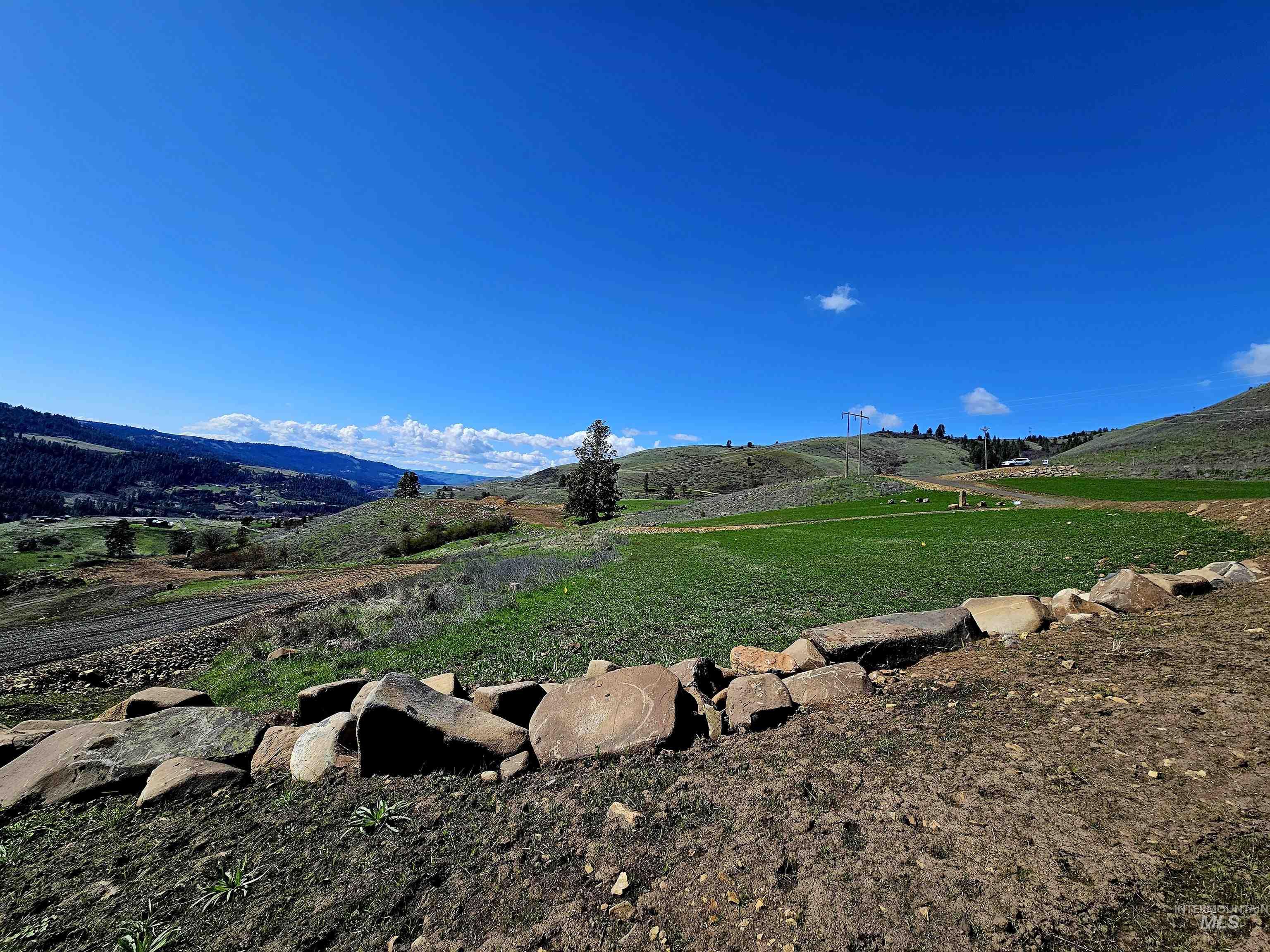 Lot 5 Quiet Hills Lane, Lenore, Idaho 83541, Land For Sale, Price $310,000, 98947846