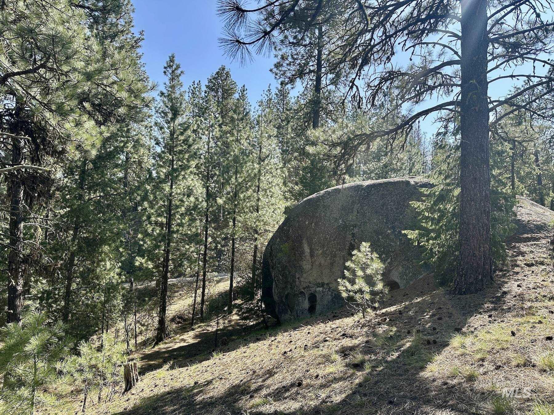 37 Stanley Dr, Cascade, Idaho 83611, Land For Sale, Price $235,000, 98947890