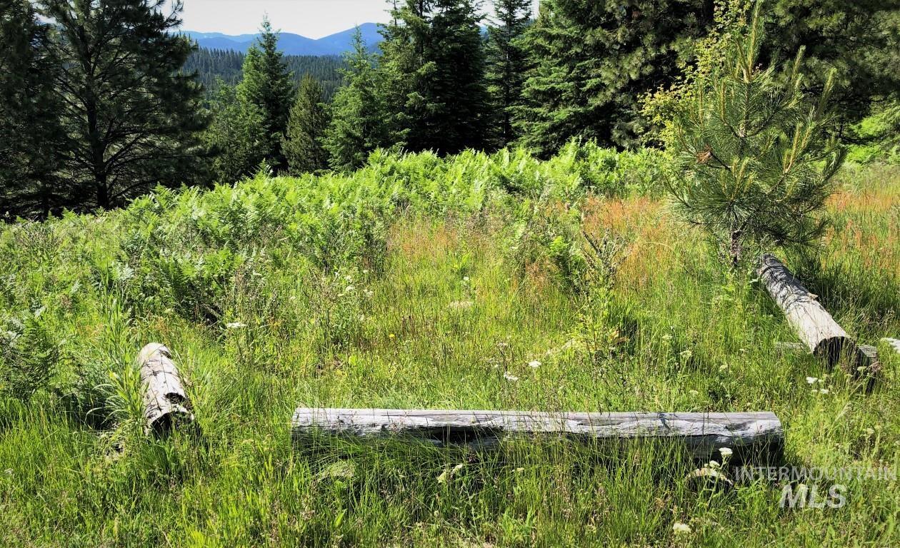 Parcel 5 Hungry Ridge Road, Grangeville, Idaho 83530, Land For Sale, Price $299,000, 98947901
