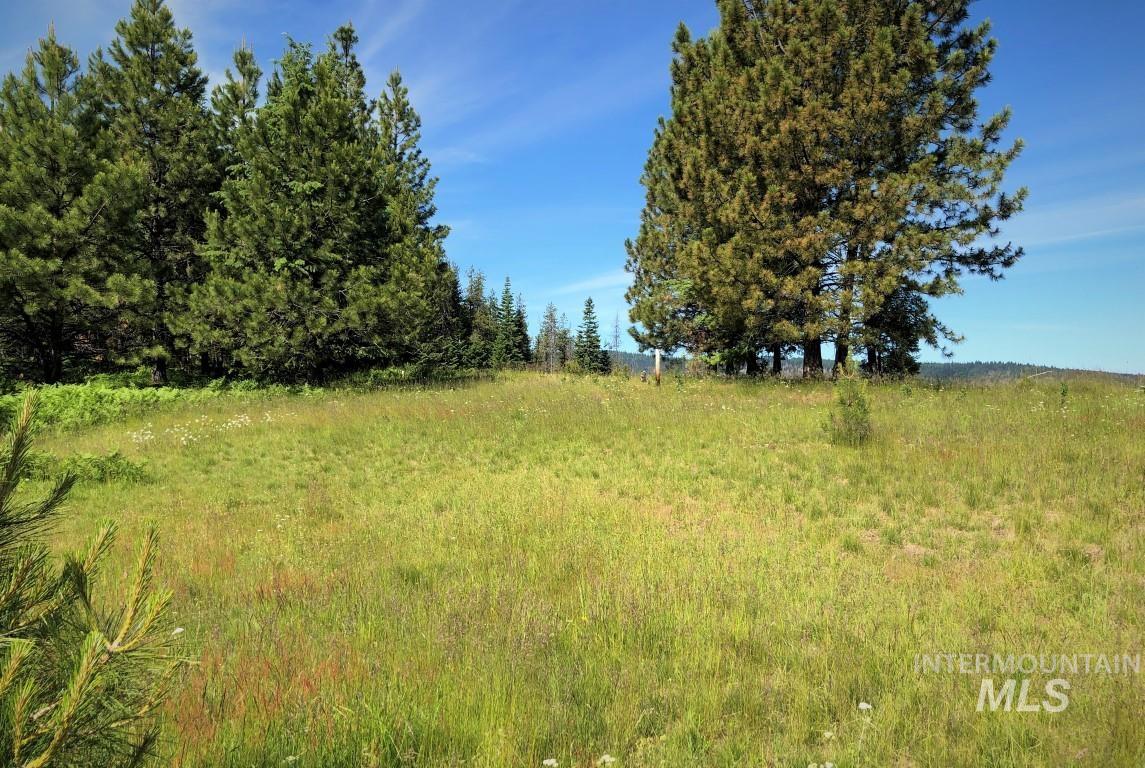 Parcel 5 Hungry Ridge Road, Grangeville, Idaho 83530, Land For Sale, Price $299,000, 98947901