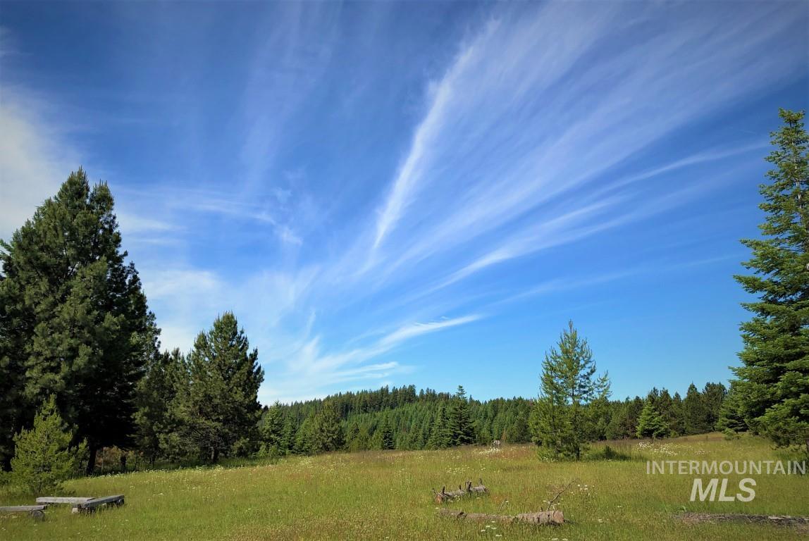 Parcel 5 Hungry Ridge Road, Grangeville, Idaho 83530, Land For Sale, Price $299,000, 98947901