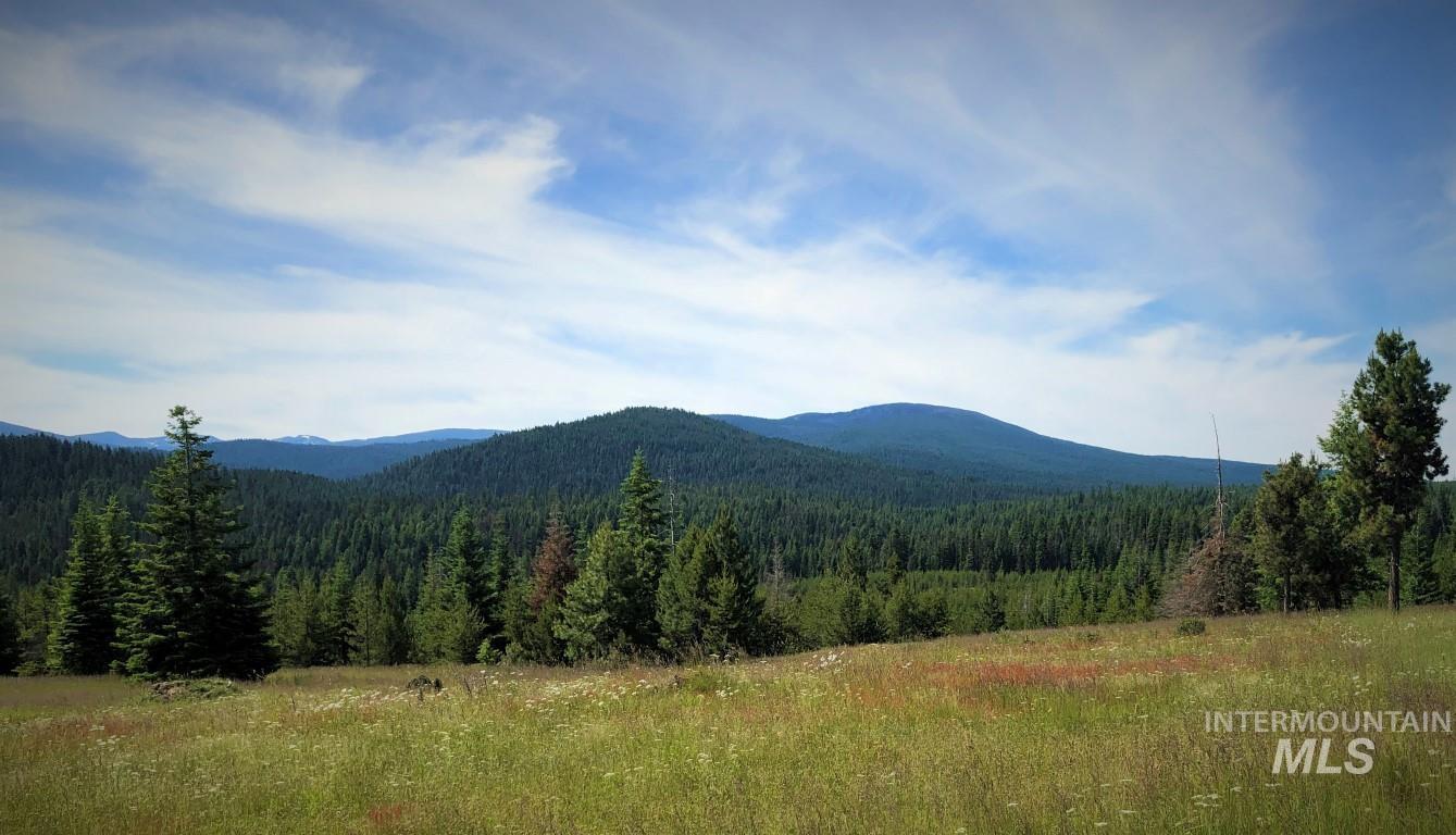 Parcel 5 Hungry Ridge Road, Grangeville, Idaho 83530, Land For Sale, Price $299,000, 98947901