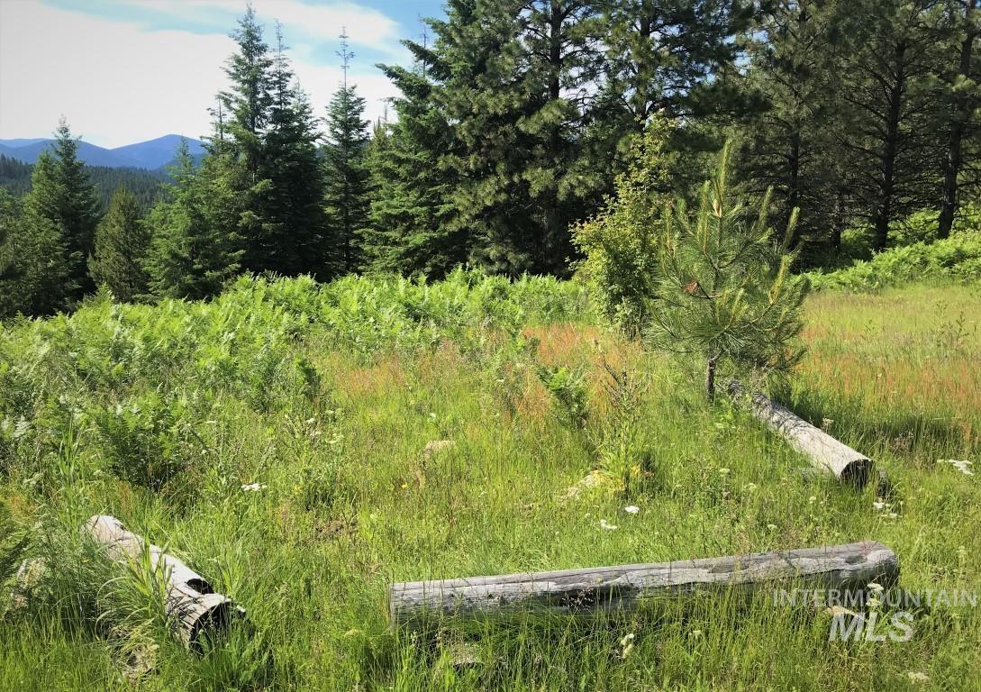 Parcel 5 Hungry Ridge Road, Grangeville, Idaho 83530, Land For Sale, Price $299,000, 98947901
