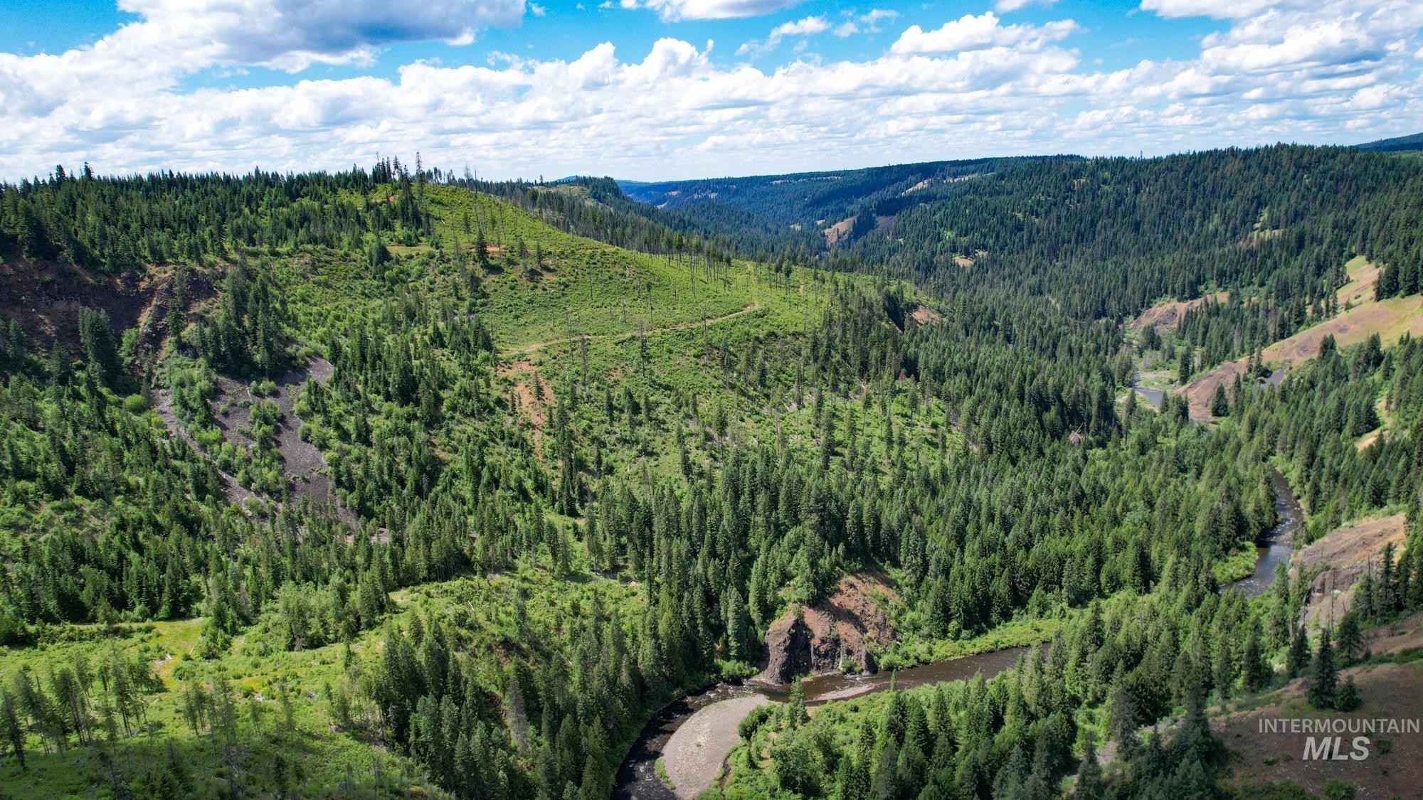 TBD Glenwood Dr, Kamiah, Idaho 83536, Farm & Ranch For Sale, Price $330,000, 98947959