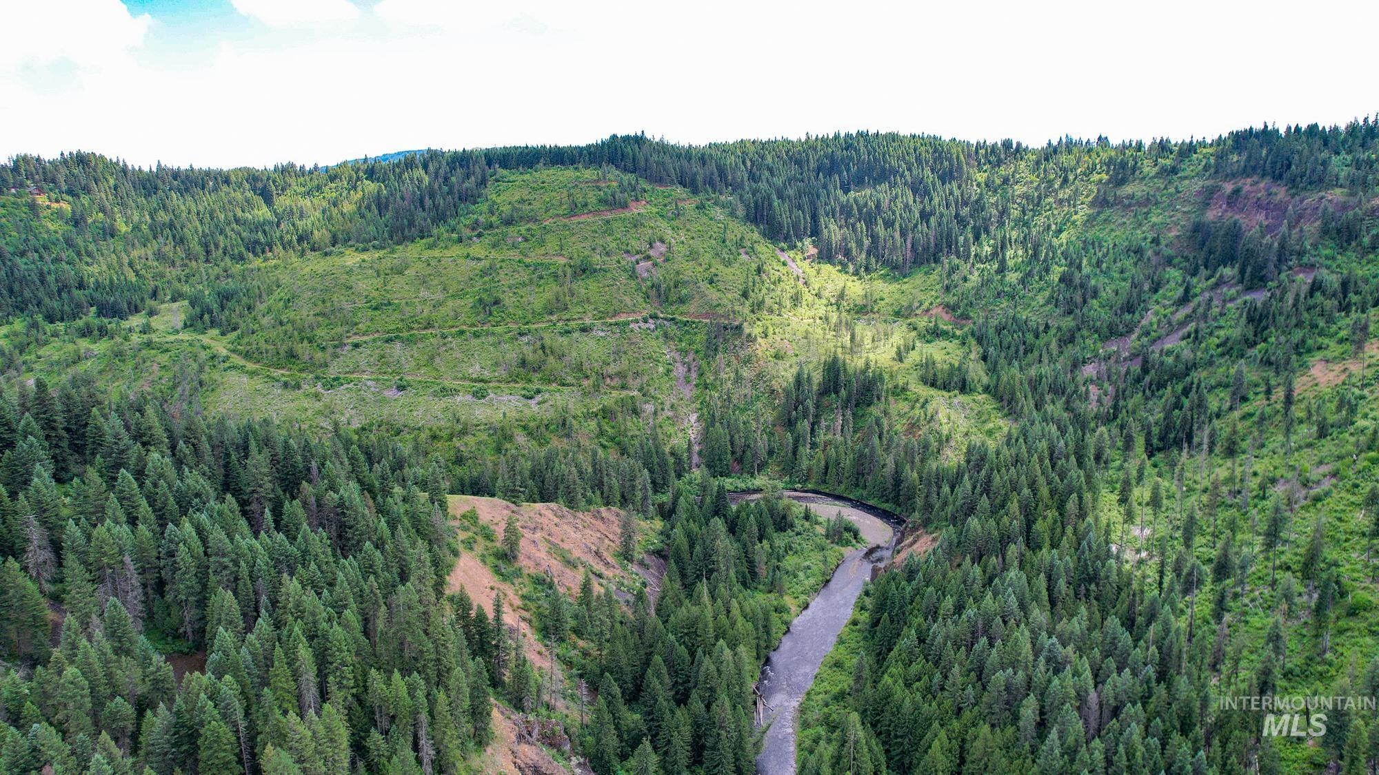 TBD Glenwood Dr, Kamiah, Idaho 83536, Farm & Ranch For Sale, Price $330,000, 98947959