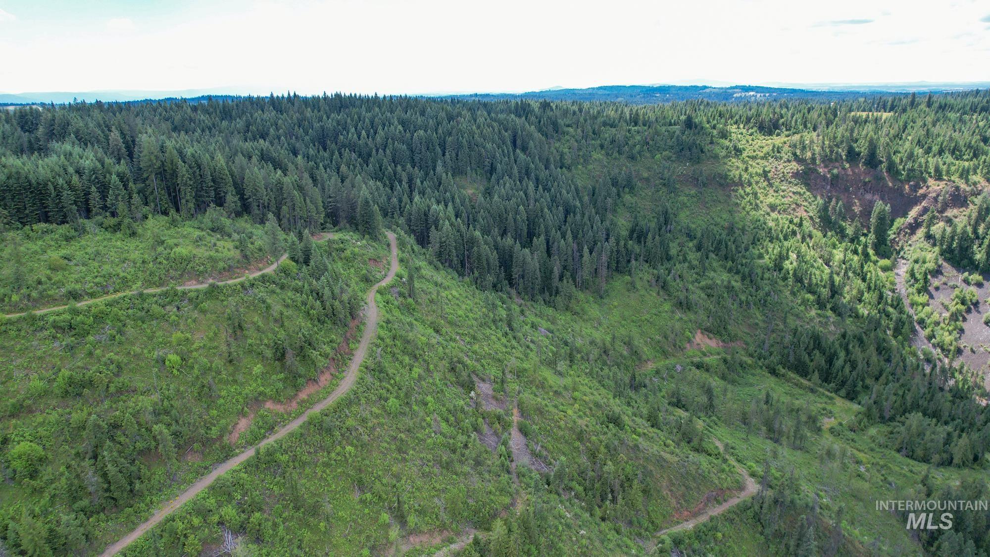 TBD Glenwood Dr, Kamiah, Idaho 83536, Farm & Ranch For Sale, Price $330,000, 98947959