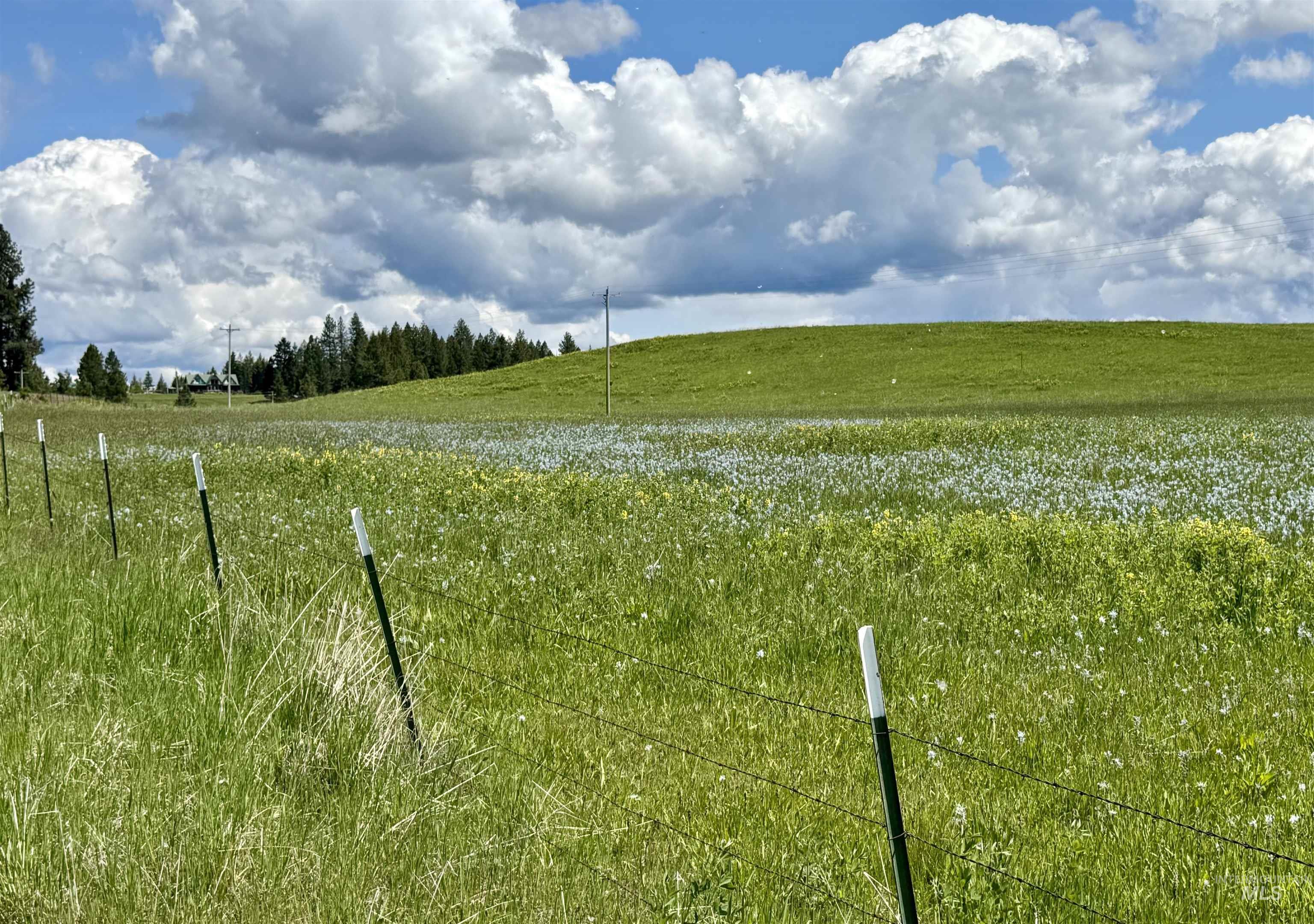 1726 Kidder Ridge Rd, Kamiah, Idaho 83536, Land For Sale, Price $1,254,000,MLS 98948012