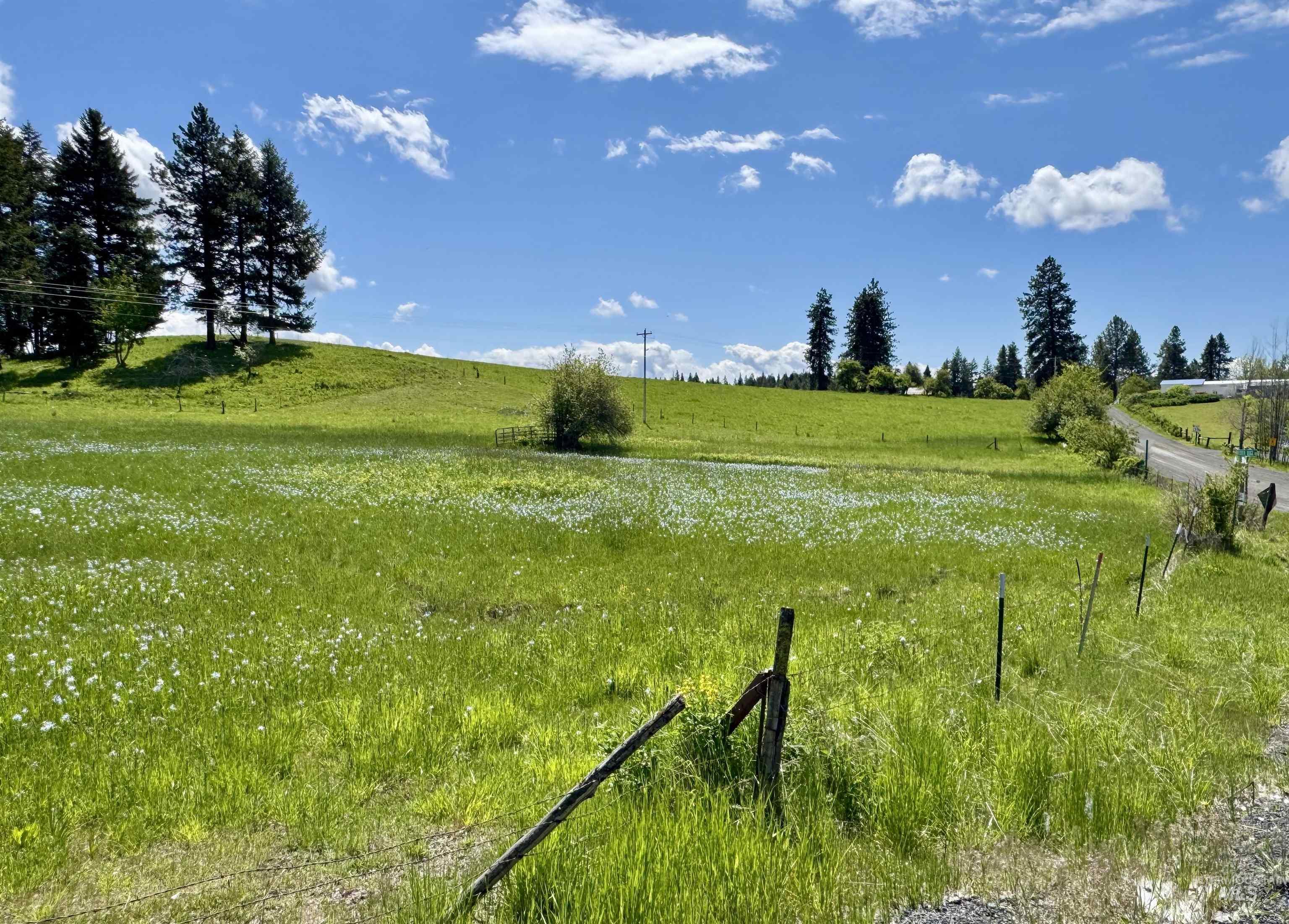 1726 Kidder Ridge Rd, Kamiah, Idaho 83536, Land For Sale, Price $1,254,000,MLS 98948012