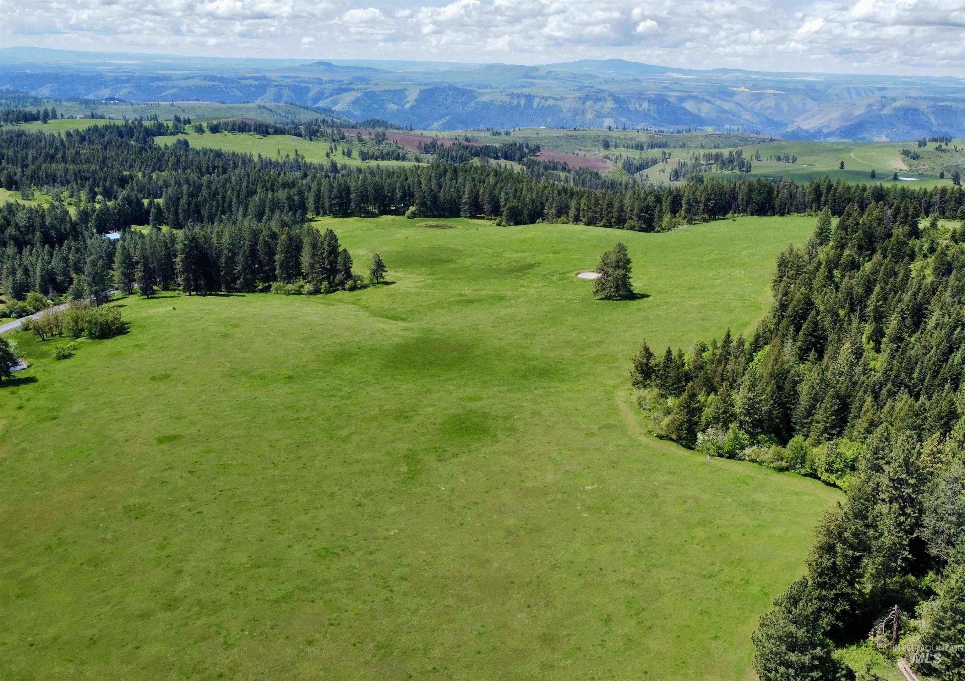 1726 Kidder Ridge Rd, Kamiah, Idaho 83536, Land For Sale, Price $1,254,000,MLS 98948012