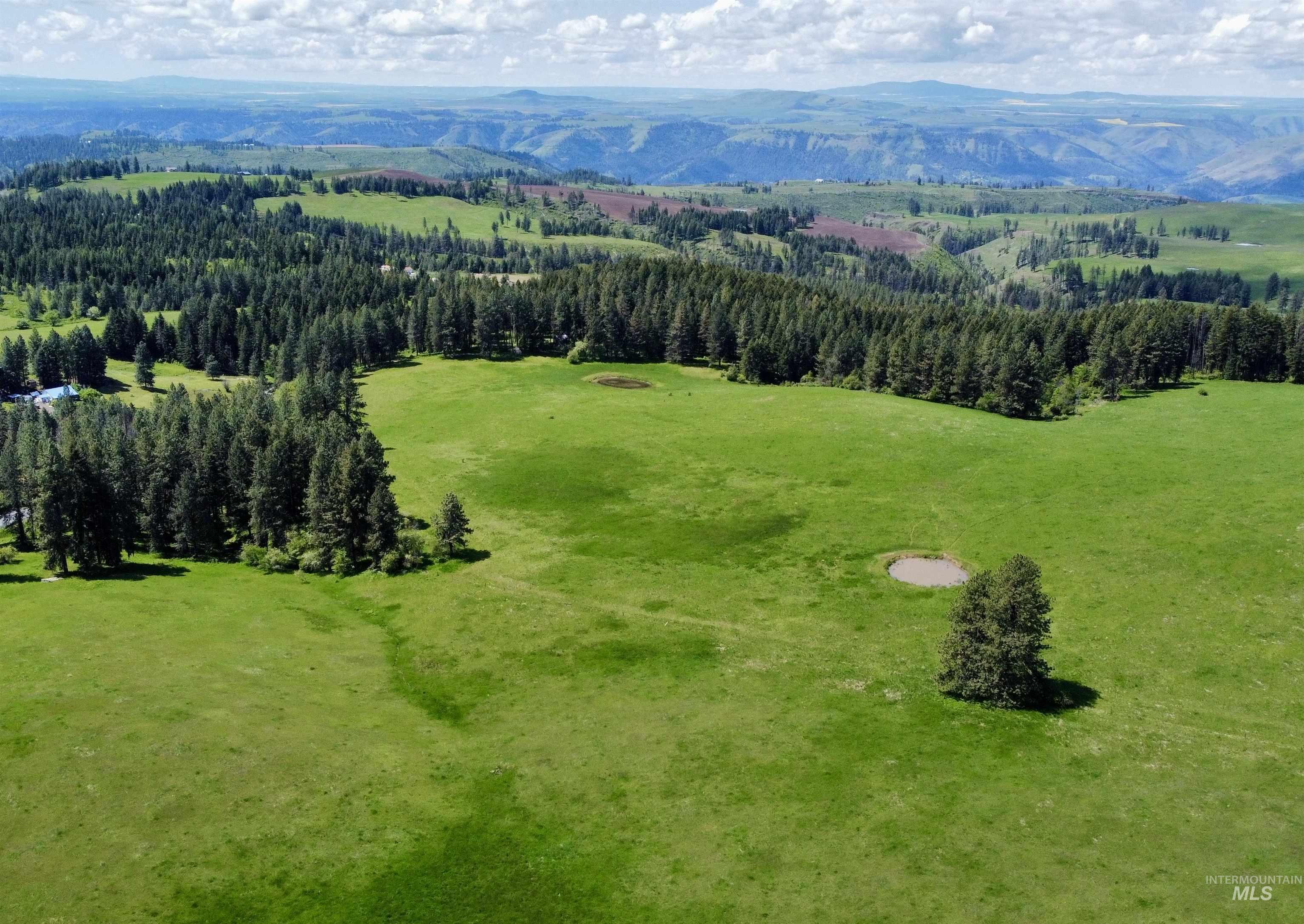 1726 Kidder Ridge Rd, Kamiah, Idaho 83536, Land For Sale, Price $1,254,000,MLS 98948012