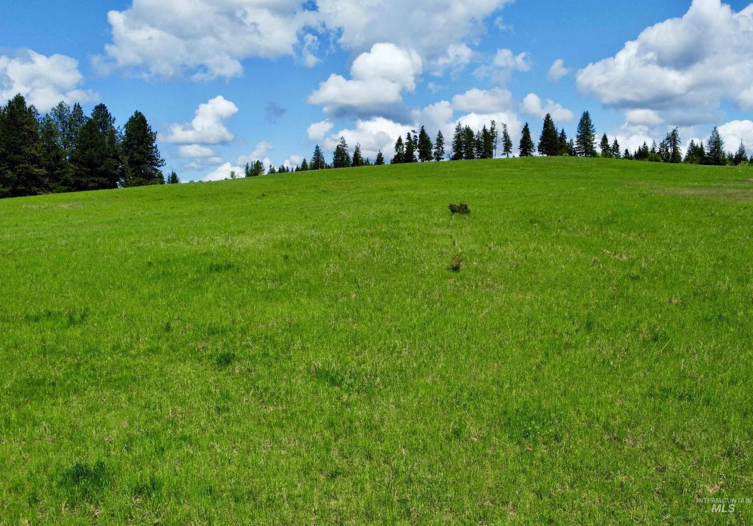 1726 Kidder Ridge Rd, Kamiah, Idaho 83536, Land For Sale, Price $1,254,000,MLS 98948012