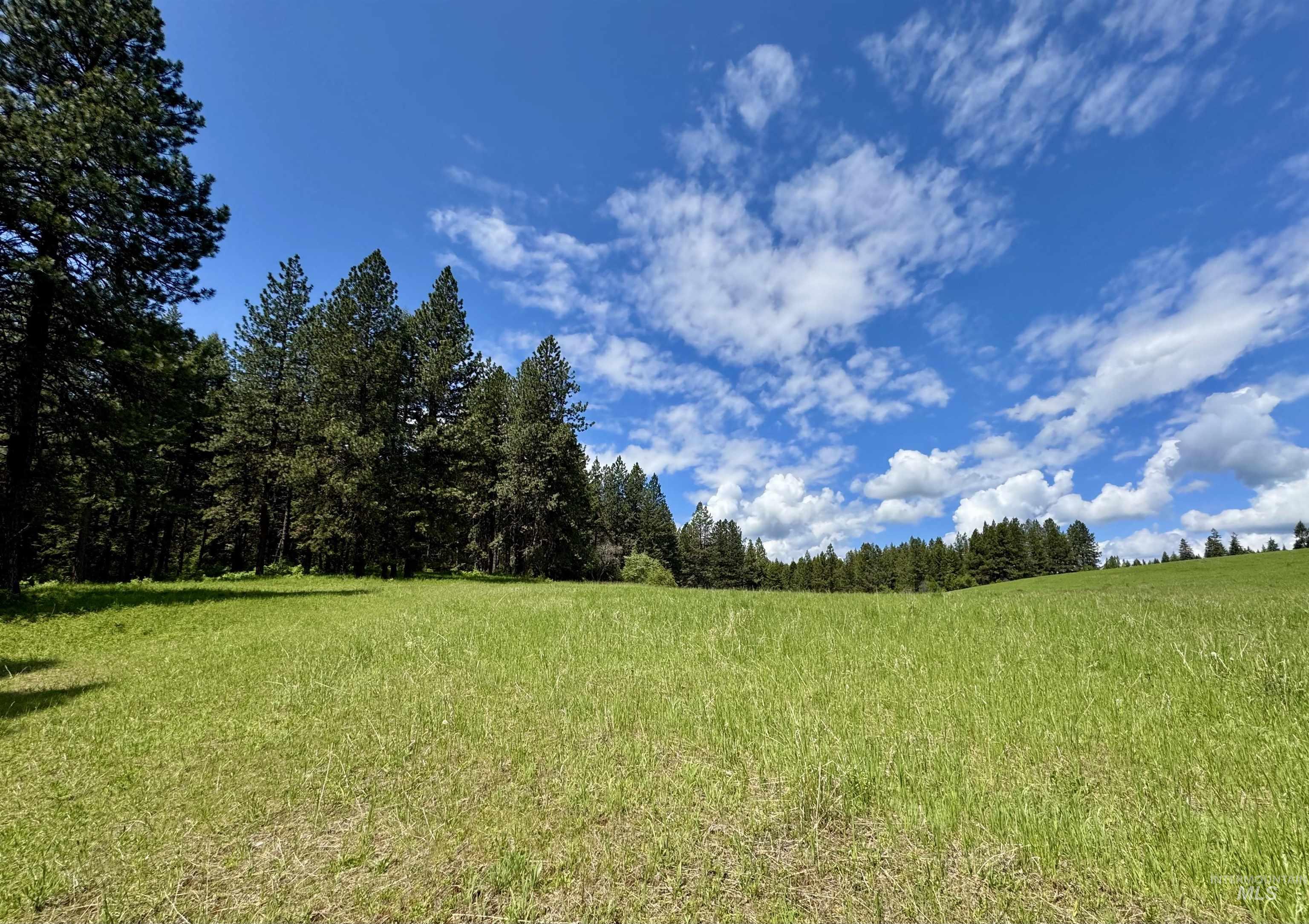 1726 Kidder Ridge Rd, Kamiah, Idaho 83536, Land For Sale, Price $1,254,000,MLS 98948012