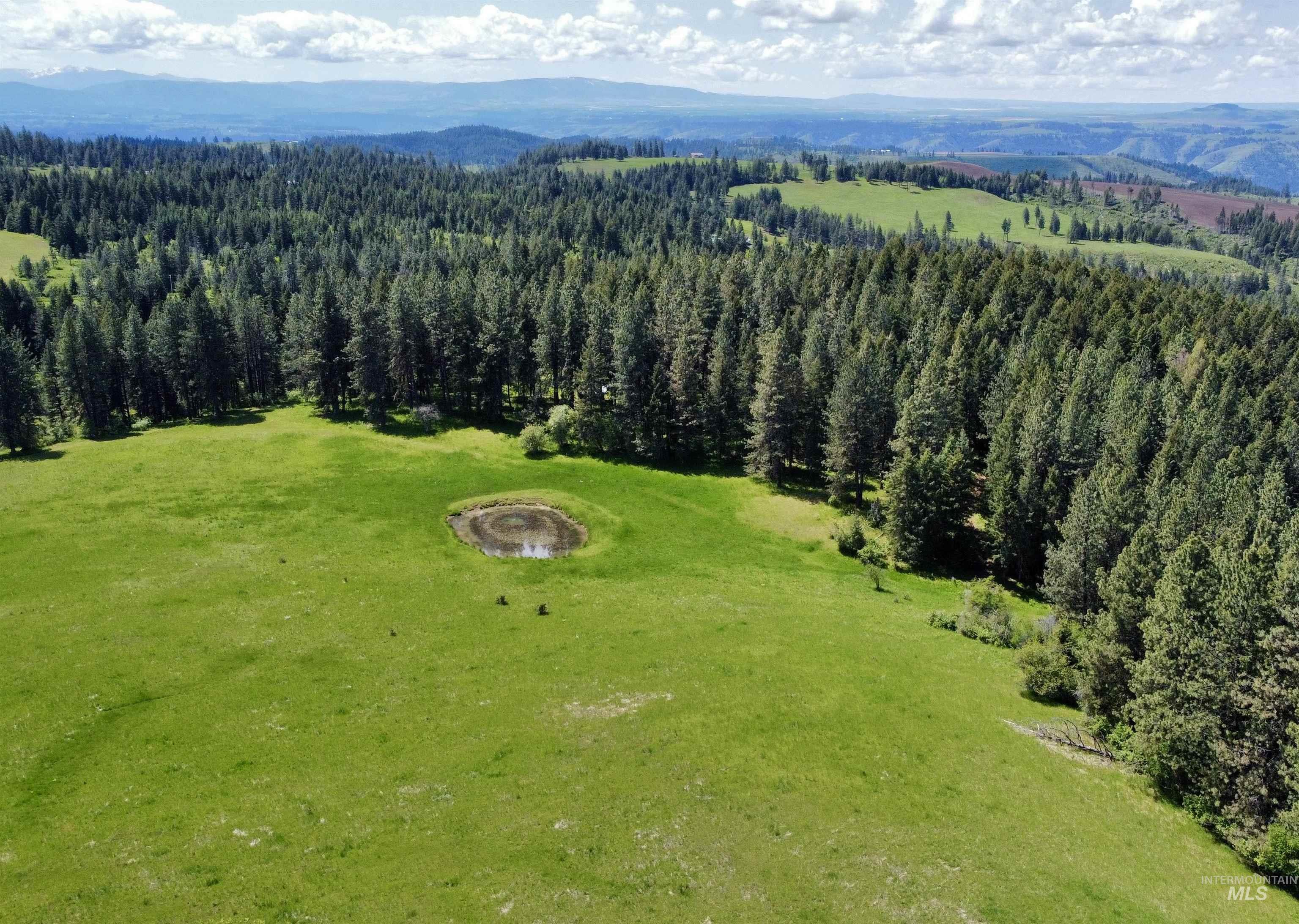 1726 Kidder Ridge Rd, Kamiah, Idaho 83536, Land For Sale, Price $1,254,000,MLS 98948012