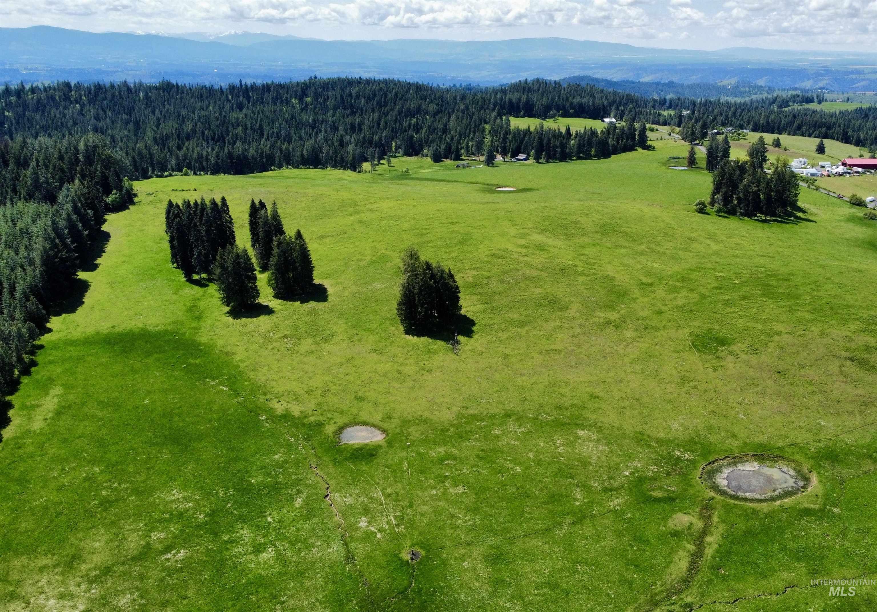 1726 Kidder Ridge Rd, Kamiah, Idaho 83536, Land For Sale, Price $1,254,000,MLS 98948012