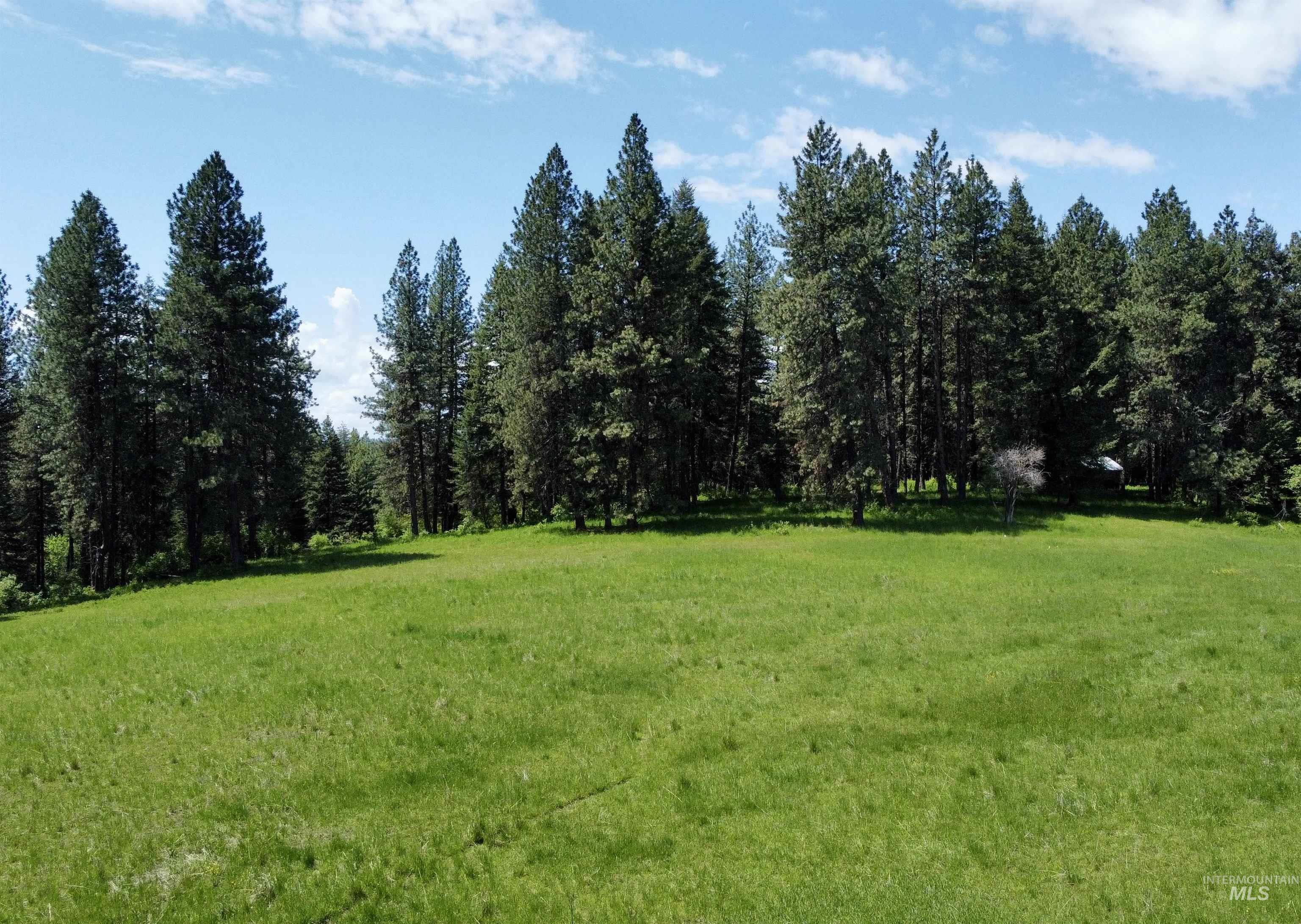 1726 Kidder Ridge Rd, Kamiah, Idaho 83536, Land For Sale, Price $1,254,000,MLS 98948012