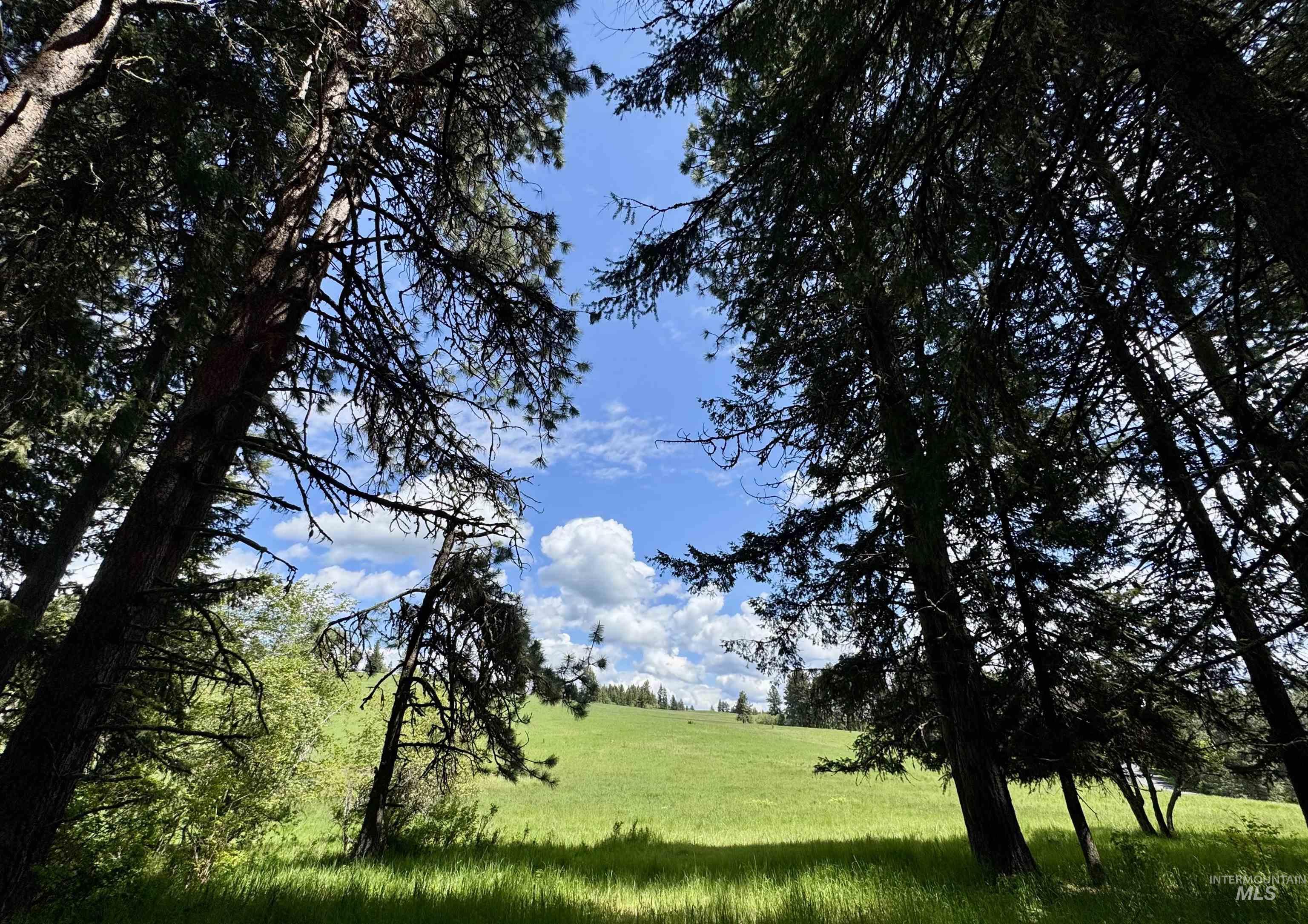 1726 Kidder Ridge Rd, Kamiah, Idaho 83536, Land For Sale, Price $1,254,000,MLS 98948012