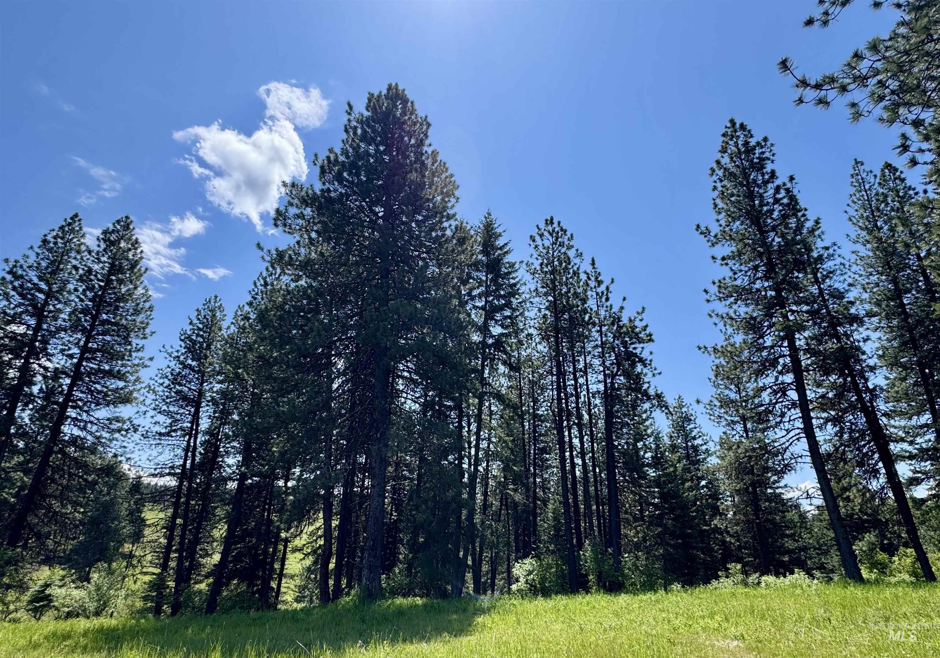 1726 Kidder Ridge Rd, Kamiah, Idaho 83536, Land For Sale, Price $1,254,000,MLS 98948012