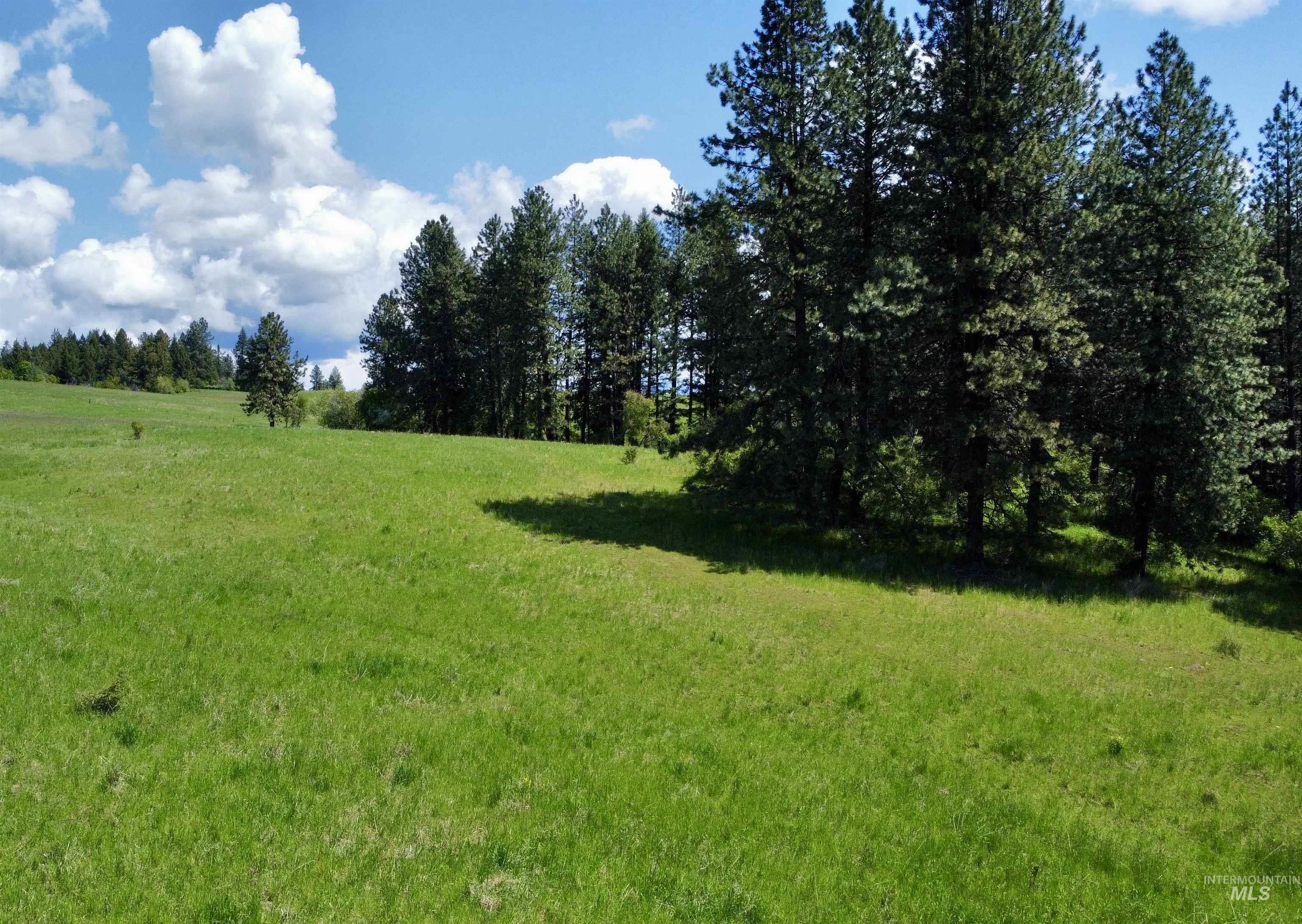 1726 Kidder Ridge Rd, Kamiah, Idaho 83536, Land For Sale, Price $1,254,000,MLS 98948012