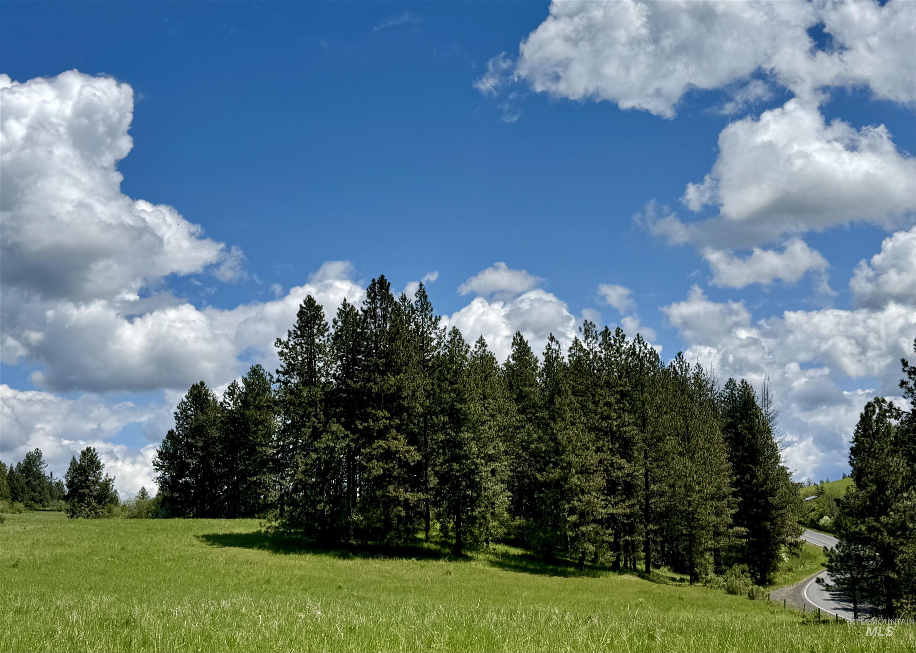 1726 Kidder Ridge Rd, Kamiah, Idaho 83536, Land For Sale, Price $1,254,000,MLS 98948012