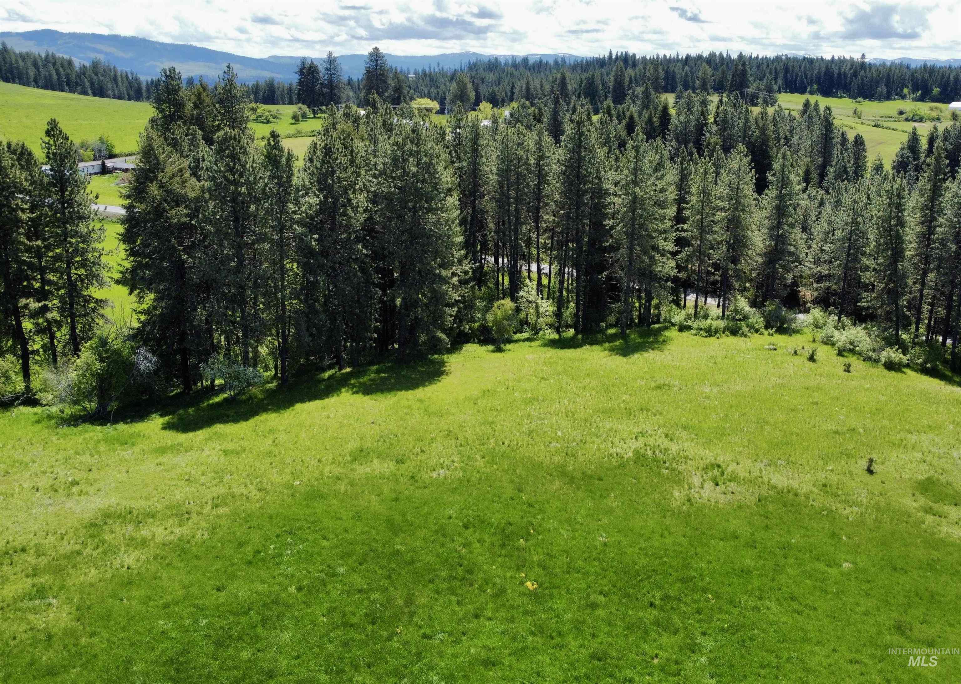 1726 Kidder Ridge Rd, Kamiah, Idaho 83536, Land For Sale, Price $1,254,000,MLS 98948012