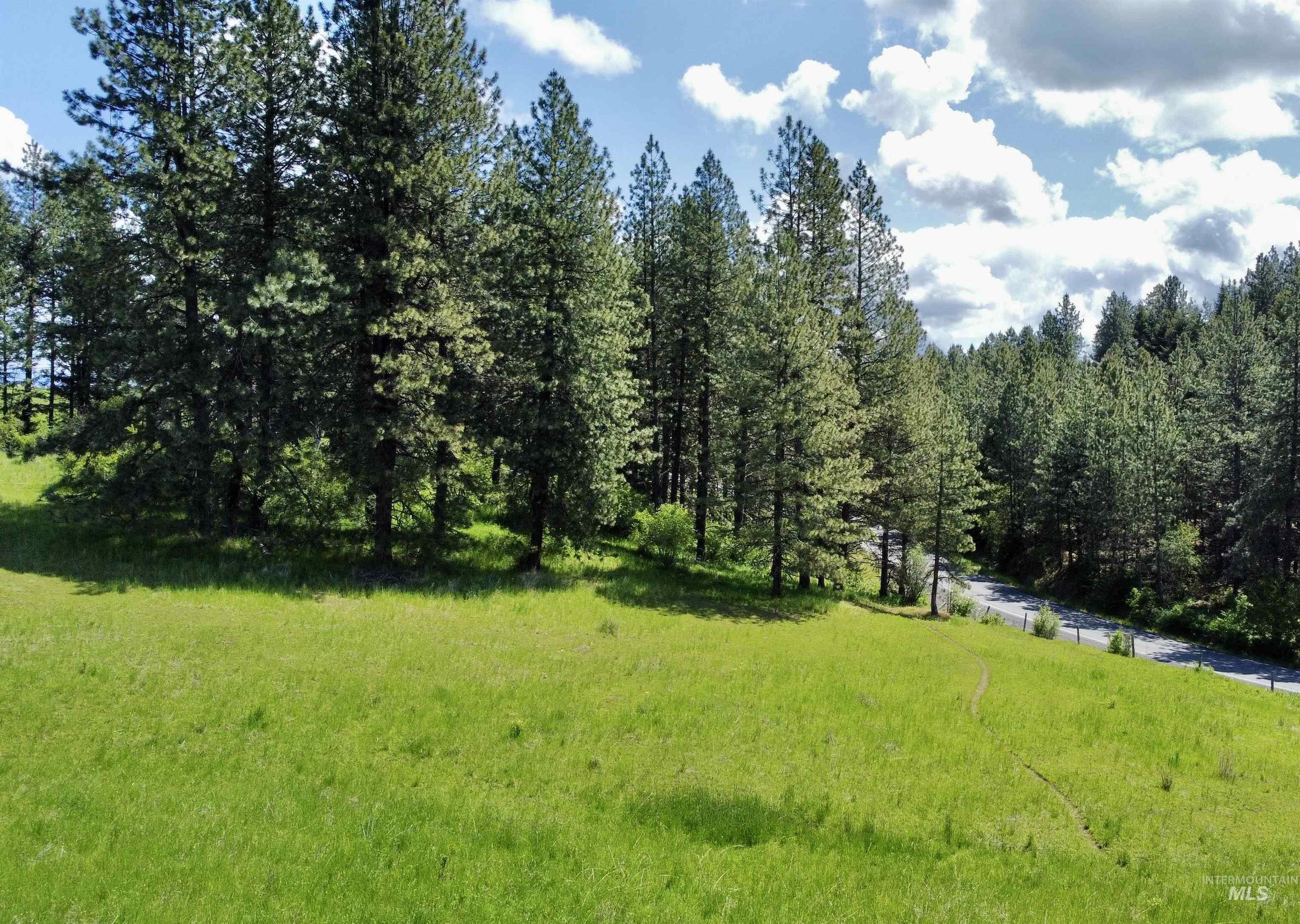 1726 Kidder Ridge Rd, Kamiah, Idaho 83536, Land For Sale, Price $1,254,000,MLS 98948012