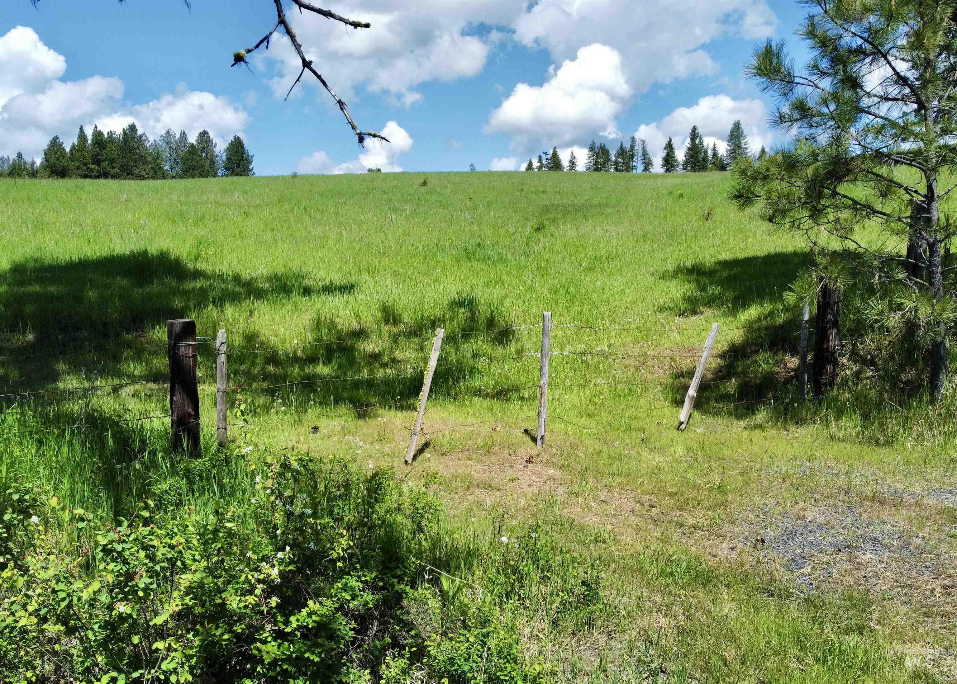 1726 Kidder Ridge Rd, Kamiah, Idaho 83536, Land For Sale, Price $1,254,000,MLS 98948012