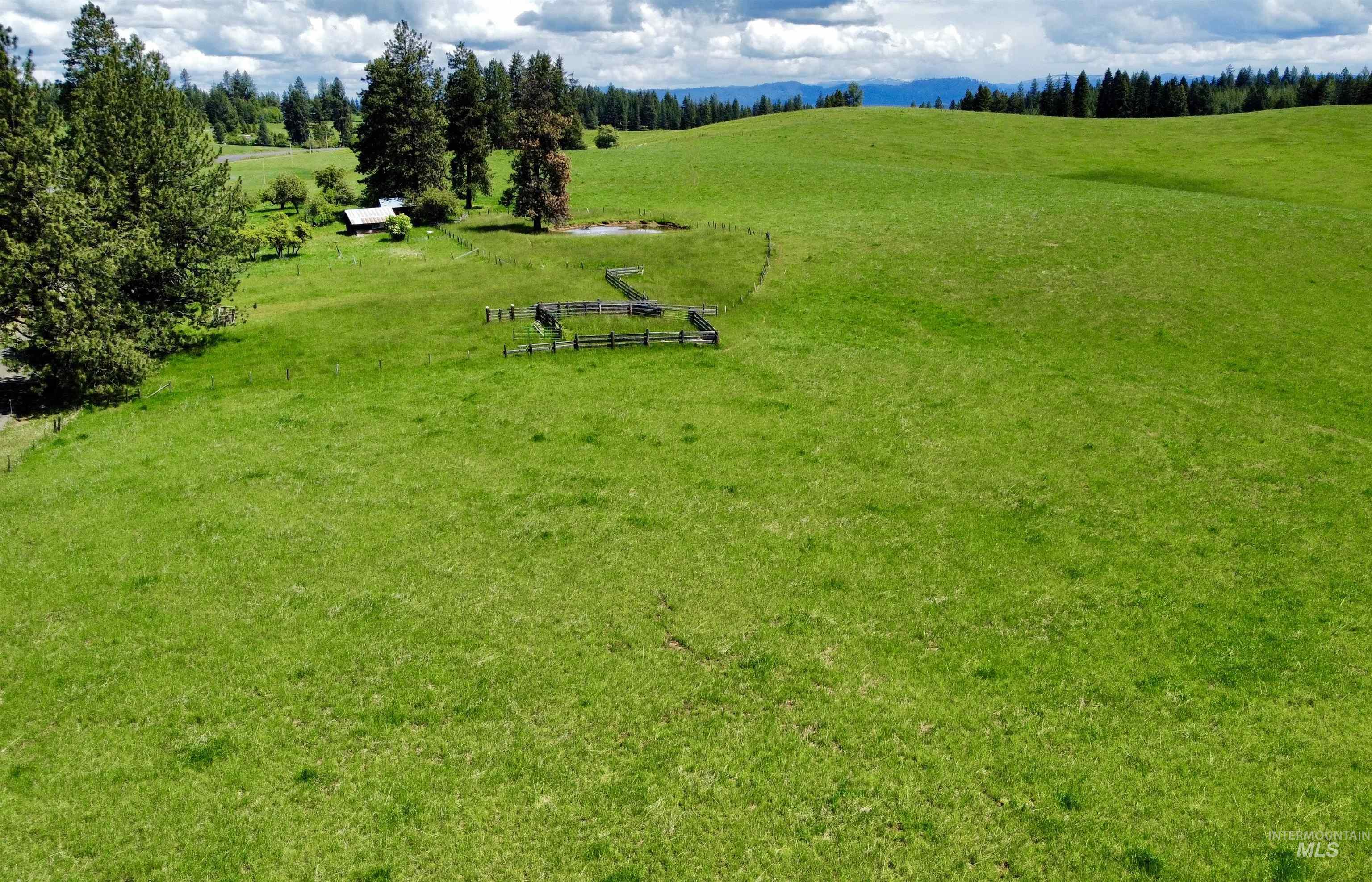 1726 Kidder Ridge Rd, Kamiah, Idaho 83536, Land For Sale, Price $1,254,000,MLS 98948012