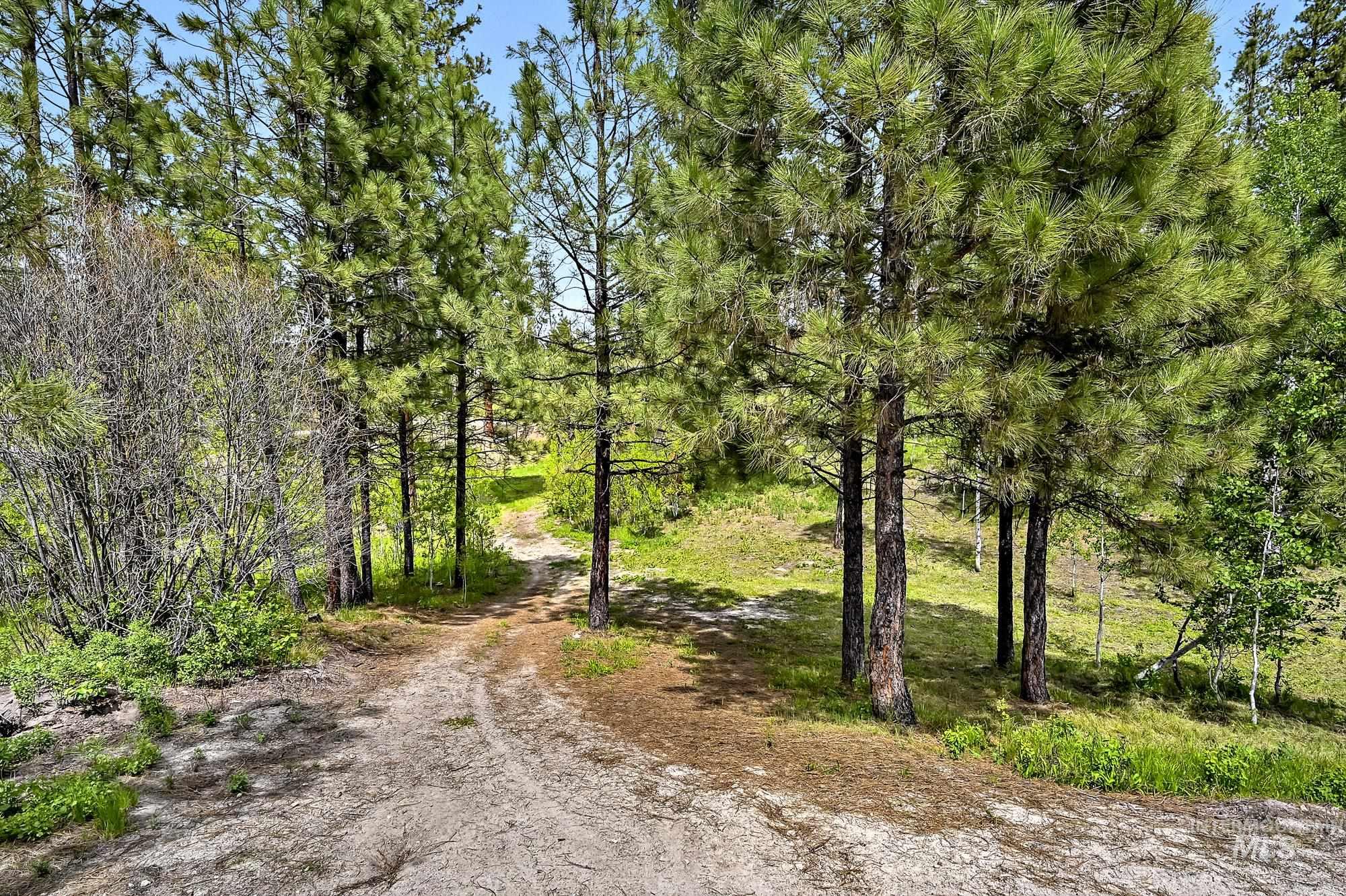 9 Crescent Cir, Idaho City, Idaho 83631, Land For Sale, Price $280,000,MLS 98948060