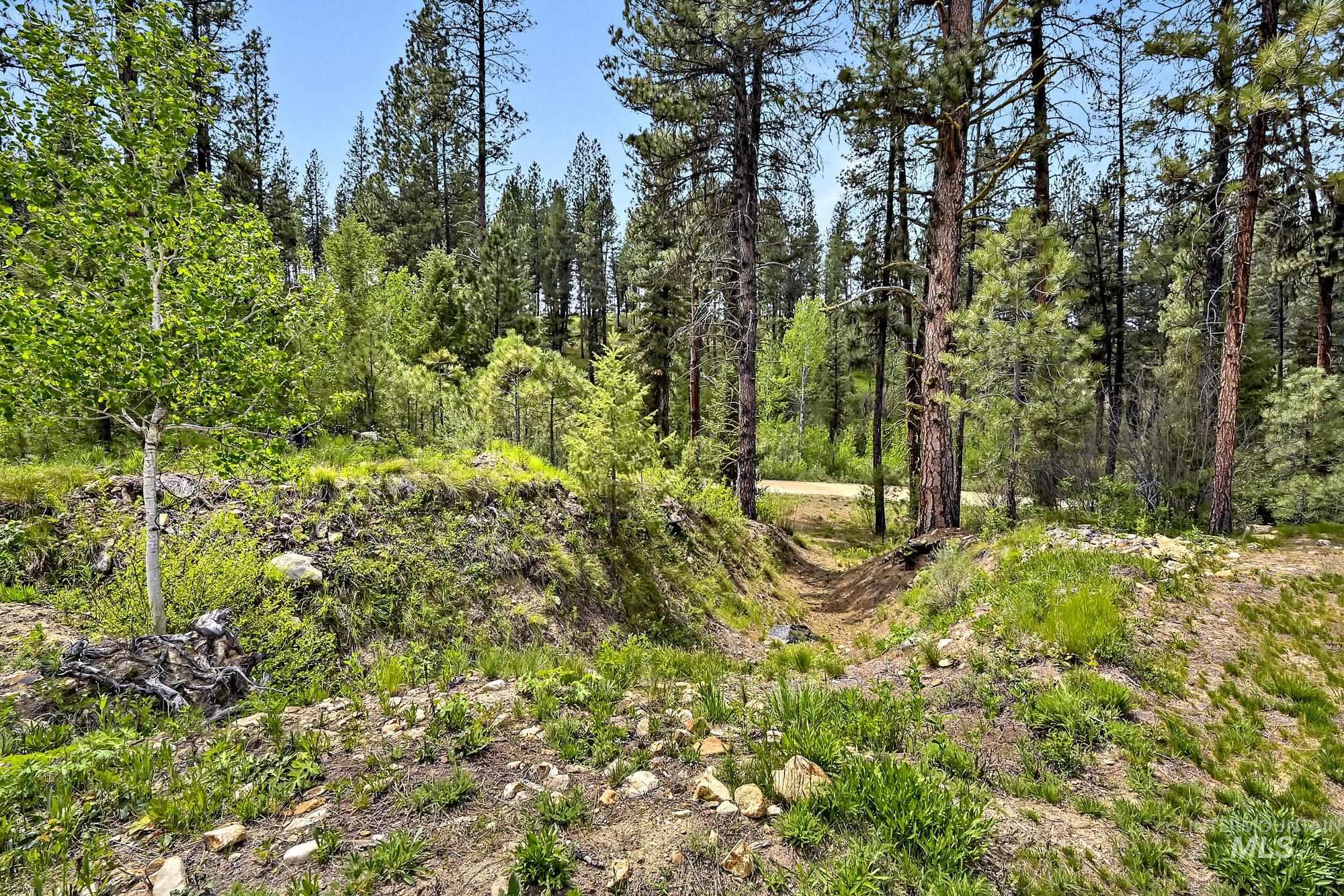 9 Crescent Cir, Idaho City, Idaho 83631, Land For Sale, Price $280,000,MLS 98948060