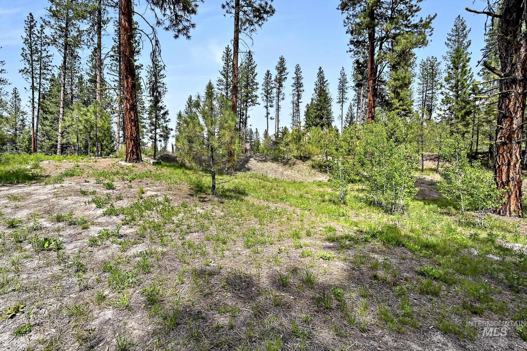 9 Crescent Cir, Idaho City, Idaho 83631, Land For Sale, Price $280,000,MLS 98948060