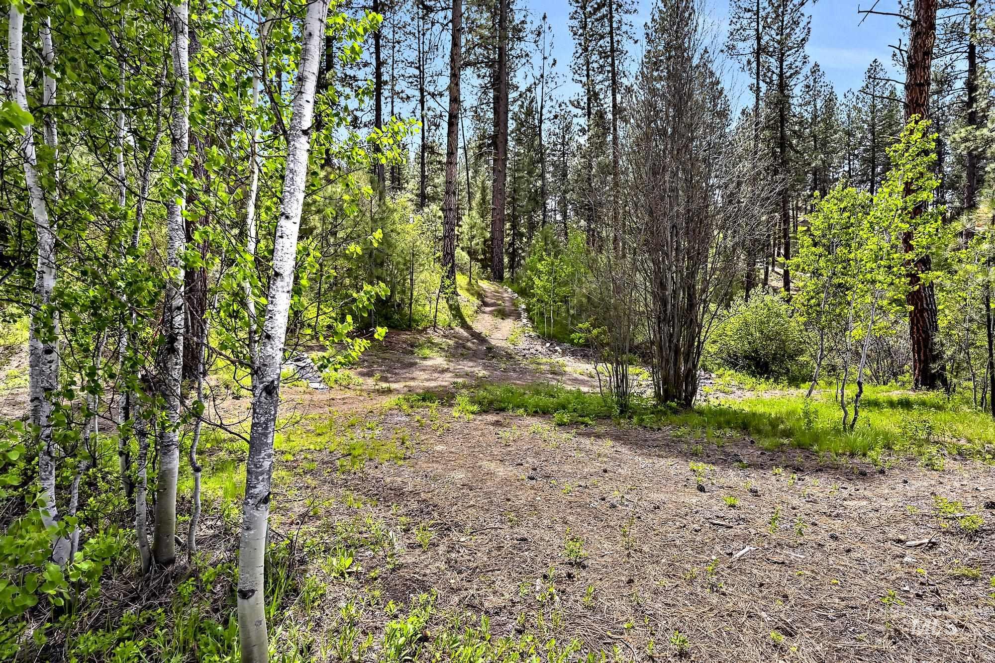 9 Crescent Cir, Idaho City, Idaho 83631, Land For Sale, Price $280,000,MLS 98948060