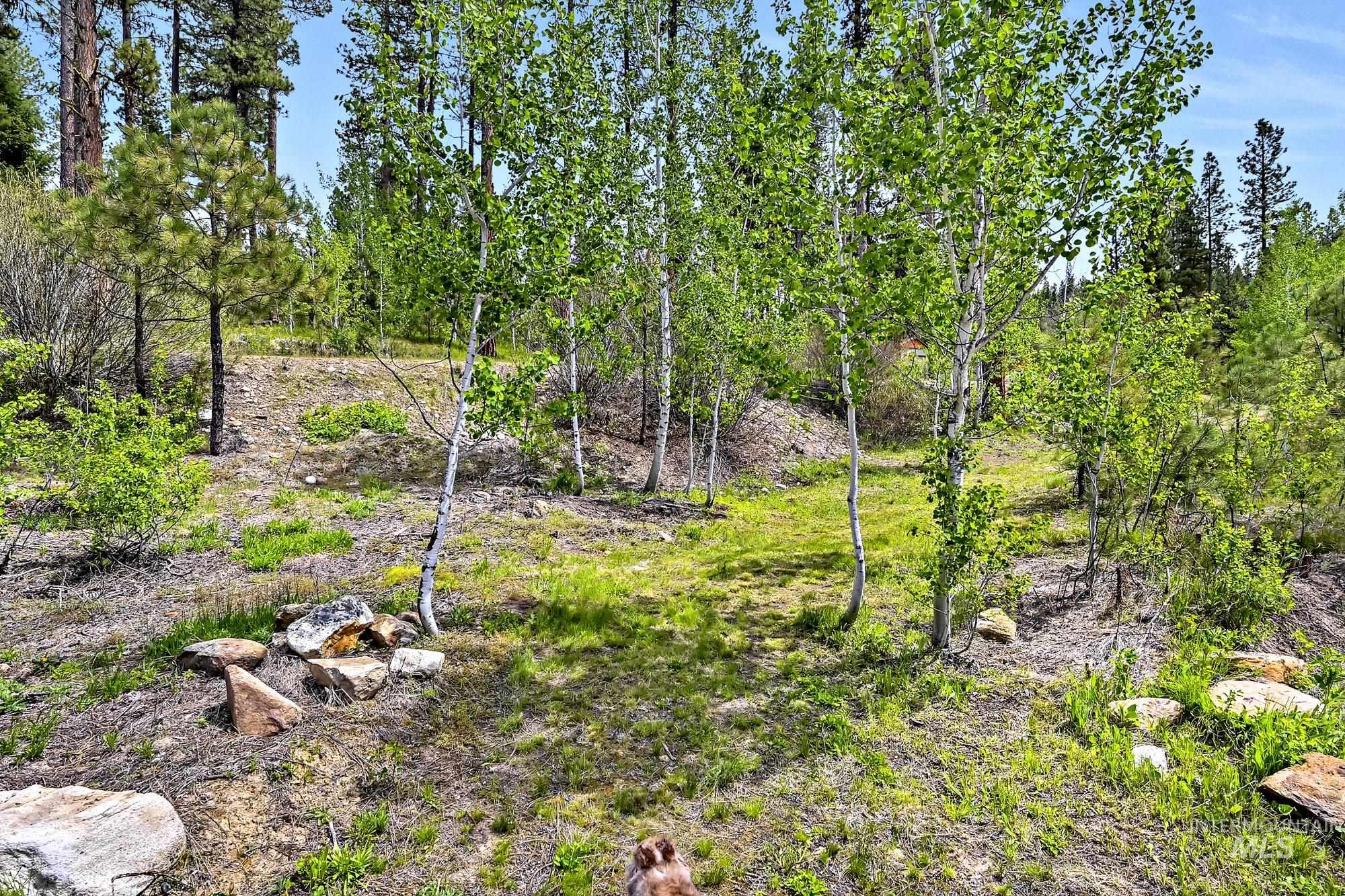 9 Crescent Cir, Idaho City, Idaho 83631, Land For Sale, Price $280,000,MLS 98948060