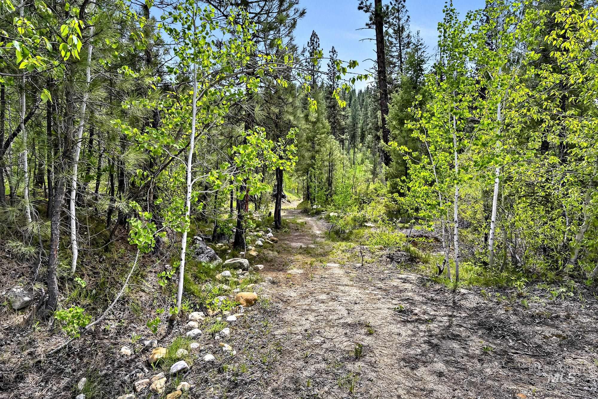 9 Crescent Cir, Idaho City, Idaho 83631, Land For Sale, Price $280,000,MLS 98948060