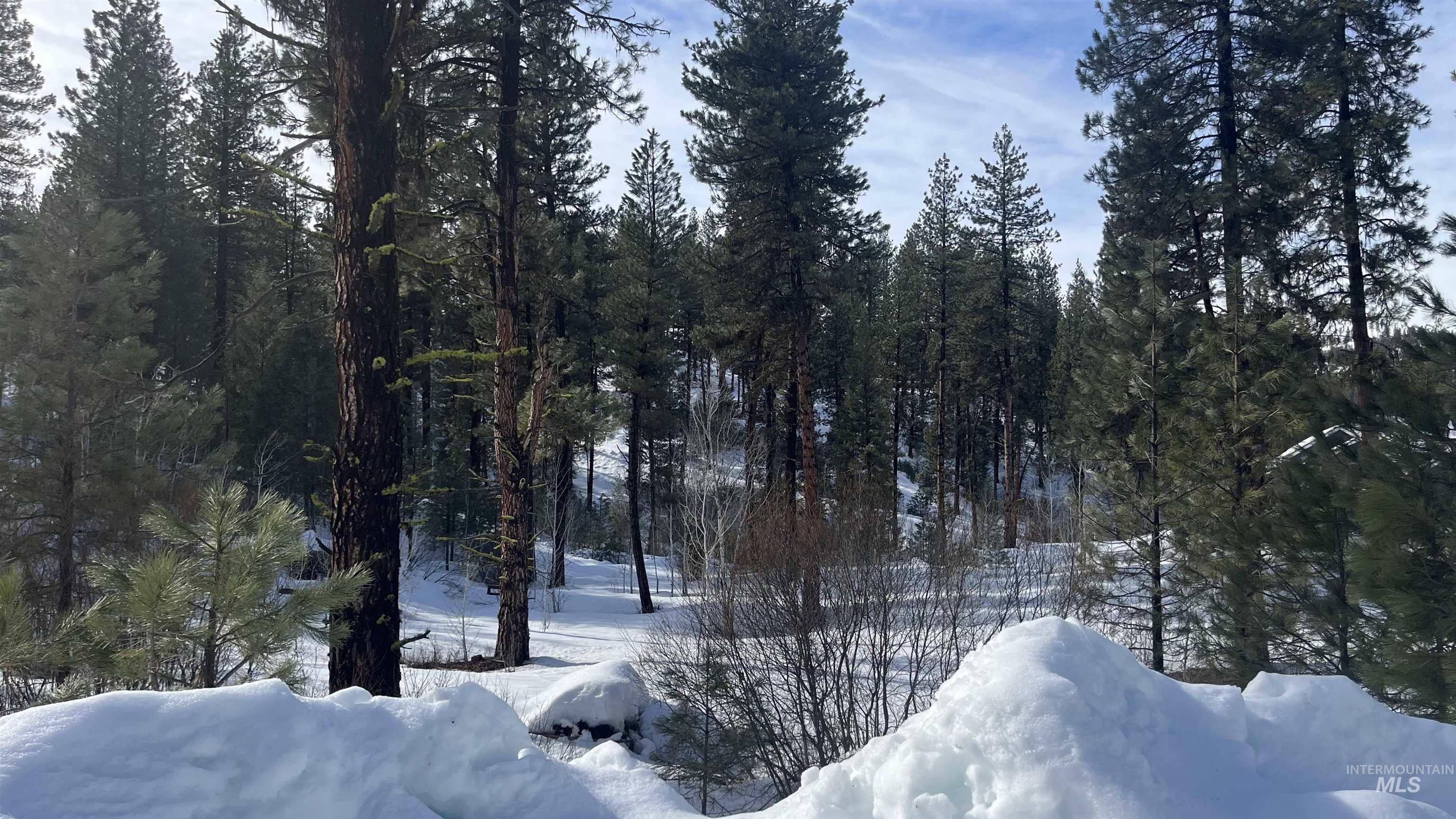 9 Crescent Cir, Idaho City, Idaho 83631, Land For Sale, Price $280,000,MLS 98948060