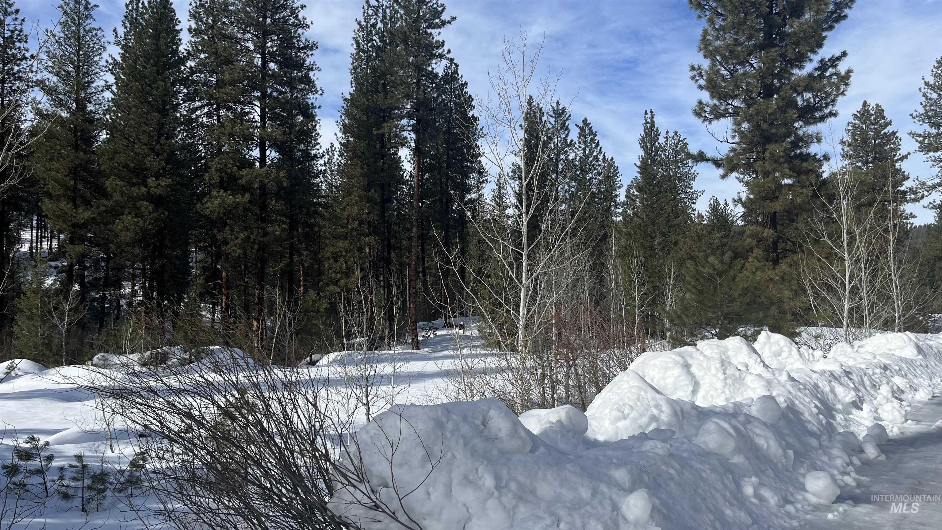 9 Crescent Cir, Idaho City, Idaho 83631, Land For Sale, Price $280,000,MLS 98948060