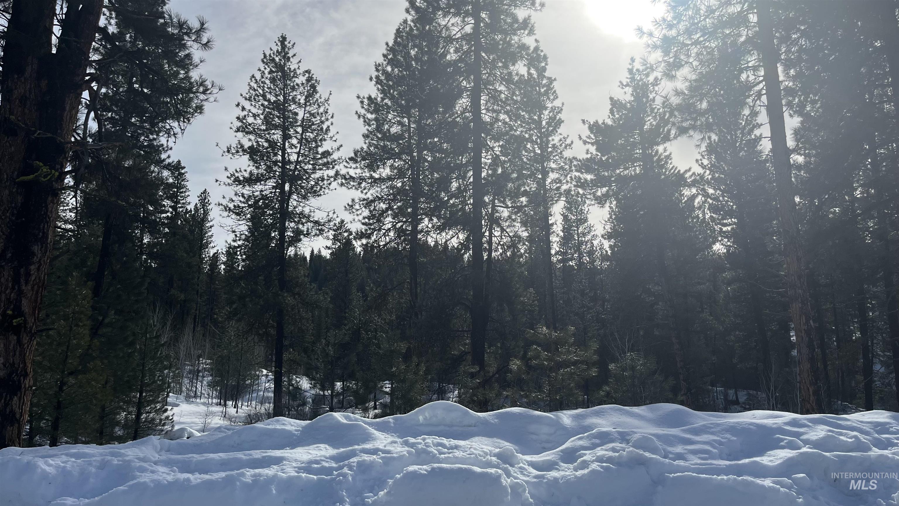 9 Crescent Cir, Idaho City, Idaho 83631, Land For Sale, Price $280,000,MLS 98948060