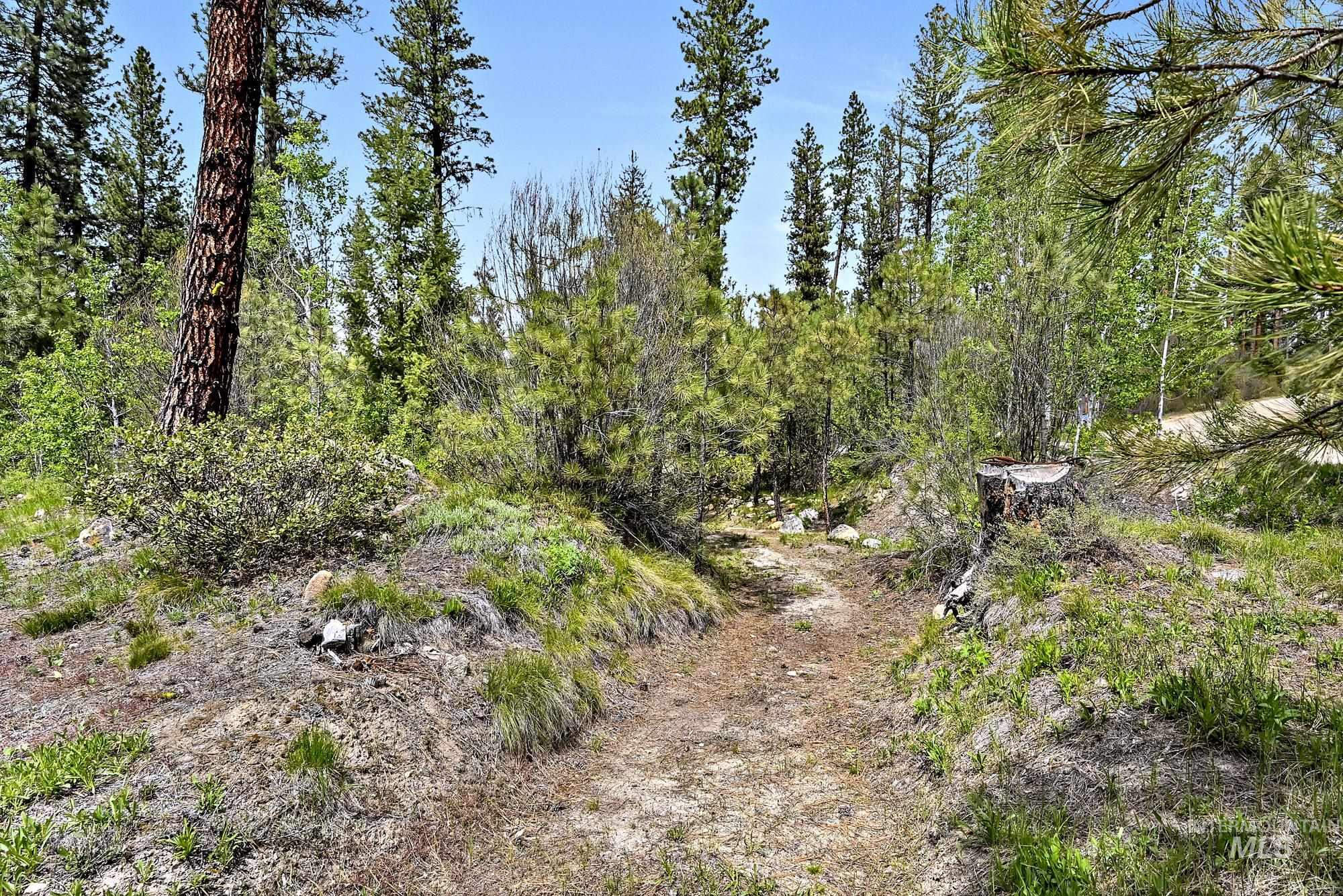 9 Crescent Cir, Idaho City, Idaho 83631, Land For Sale, Price $280,000,MLS 98948060