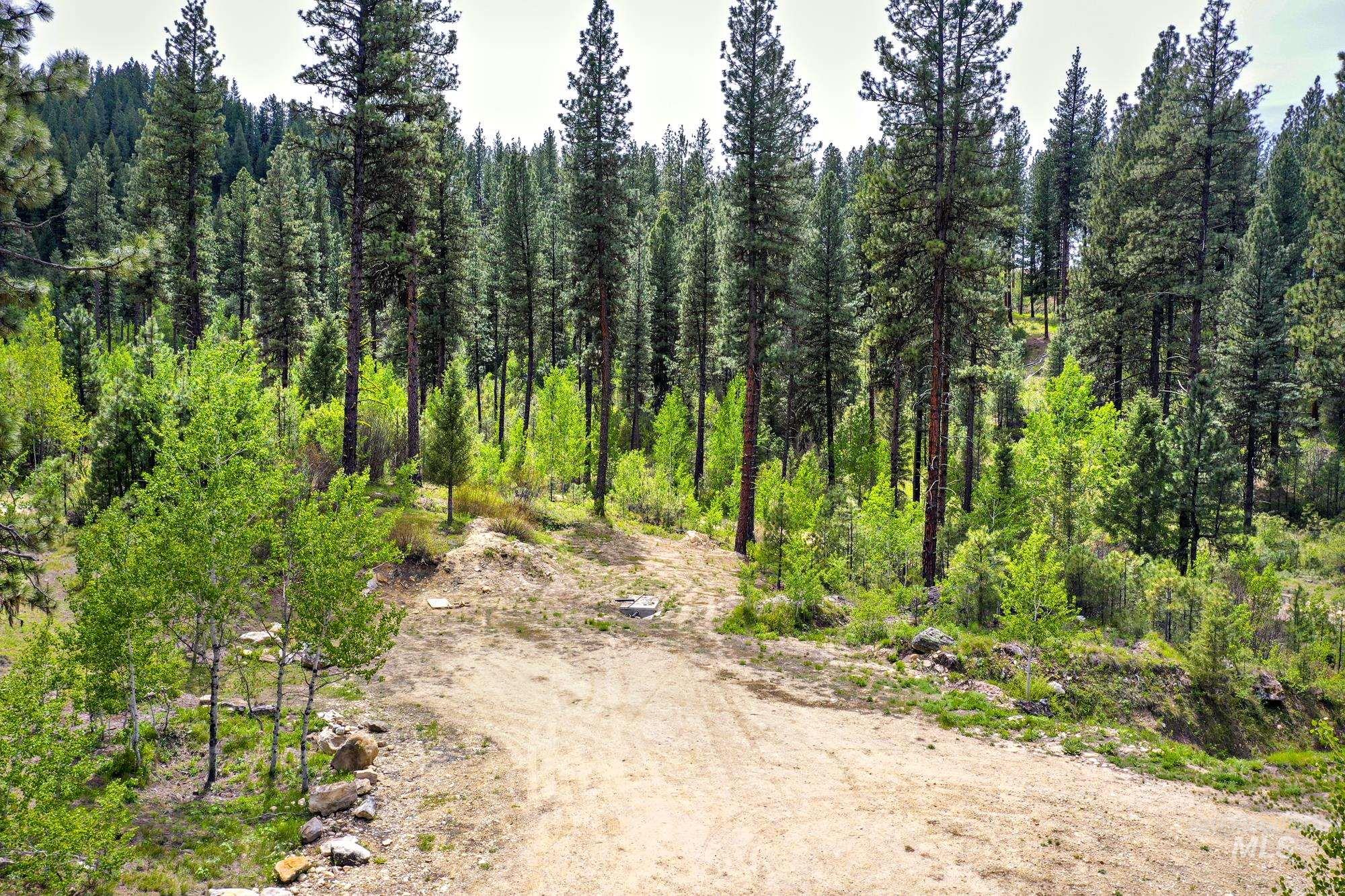 9 Crescent Cir, Idaho City, Idaho 83631, Land For Sale, Price $280,000,MLS 98948060