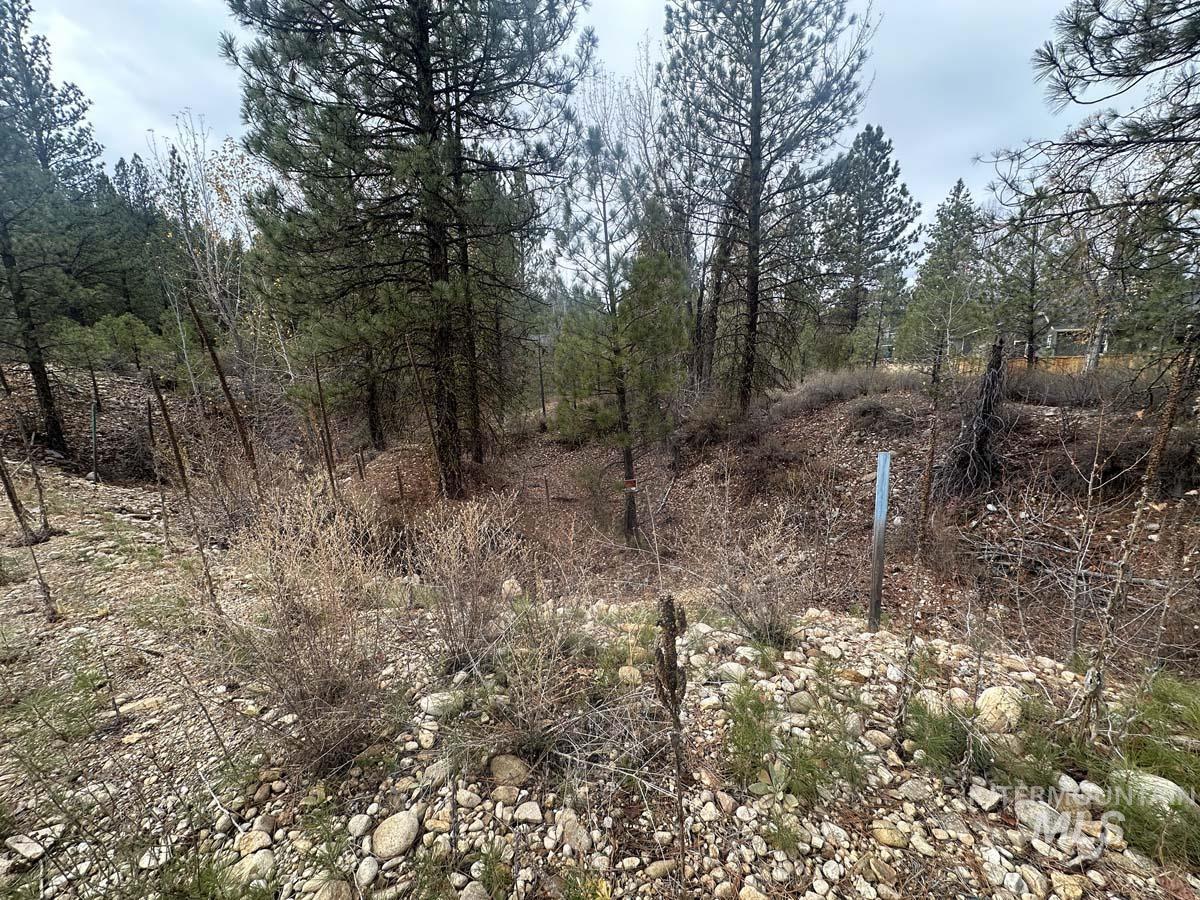 Lily Loop, Idaho City, Idaho 83631, Land For Sale, Price $70,000,MLS 98948072