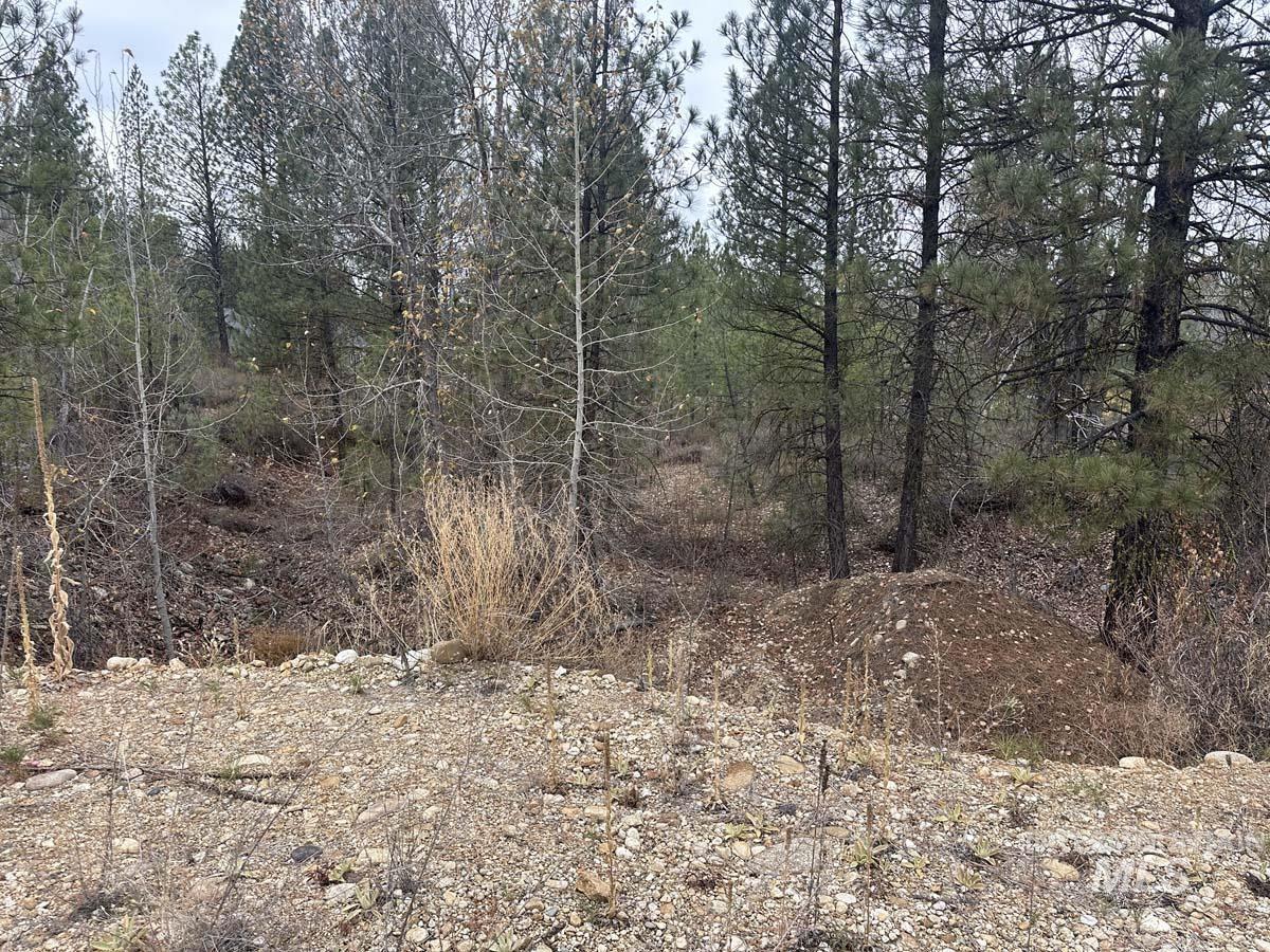 Lily Loop, Idaho City, Idaho 83631, Land For Sale, Price $70,000,MLS 98948072